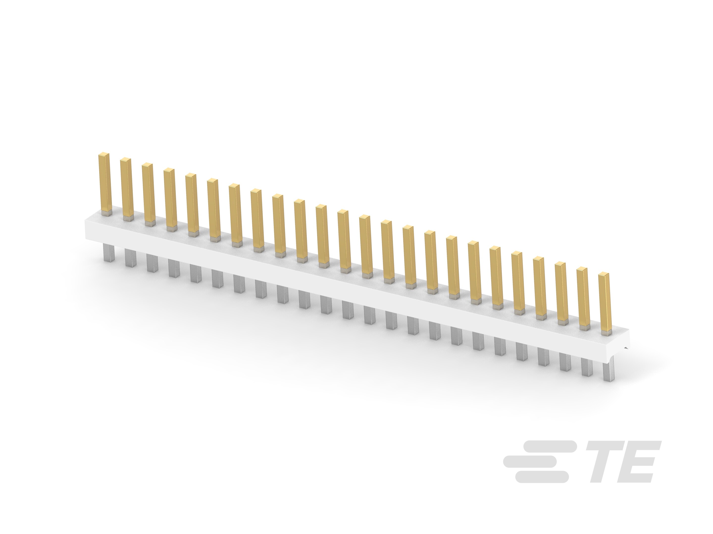 24P MTA156 HDR ASSY STR AU LF-5-644763-4