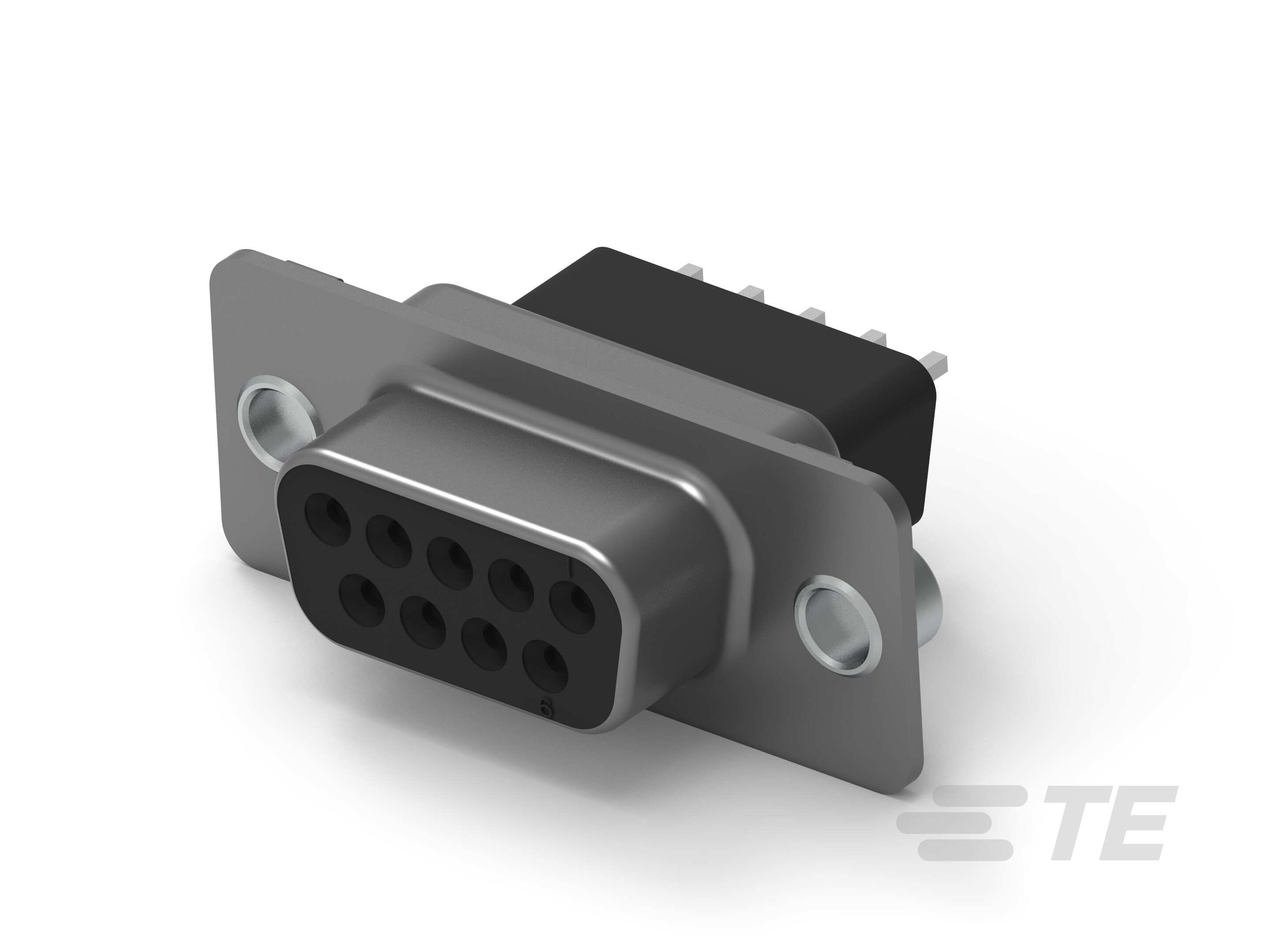 09 RCPT SP/MS CNUT-5747190-2