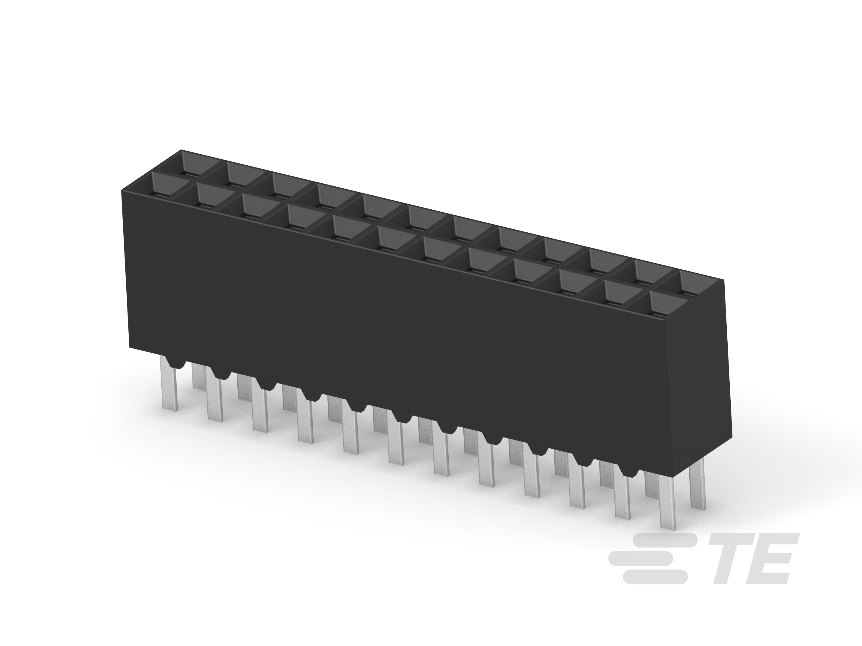 24 MODII VRT DR CE 100/115-6-534206-2