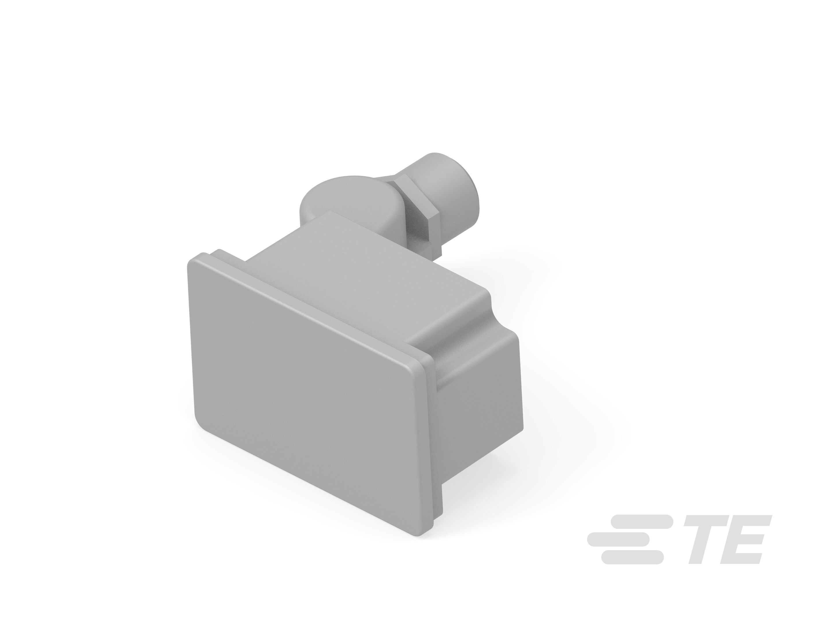 ALR-SPT-19-217152-000