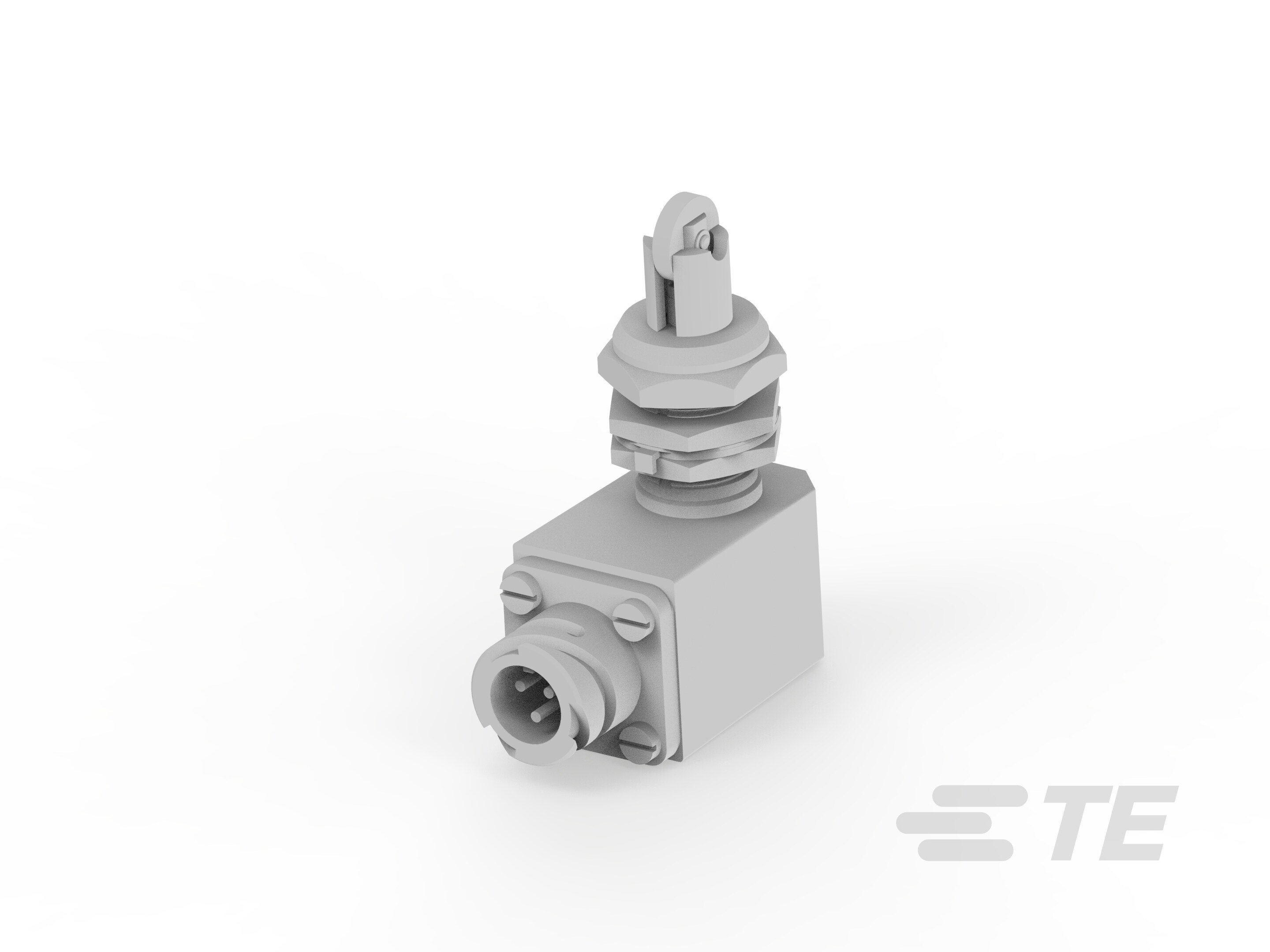 Limit switch G13-01-1161-K1016318