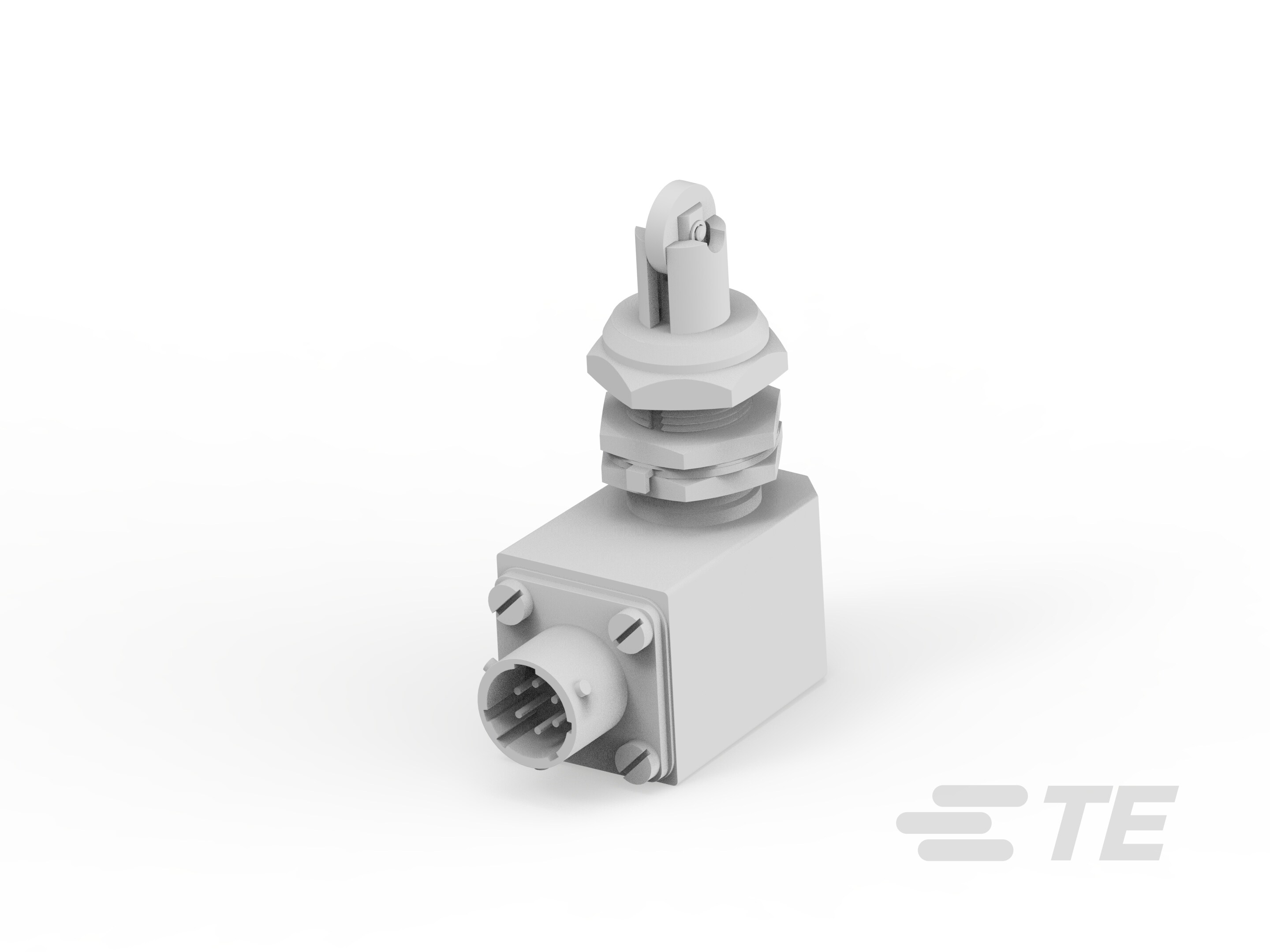 Limit switch G13-01-1246-K1016690