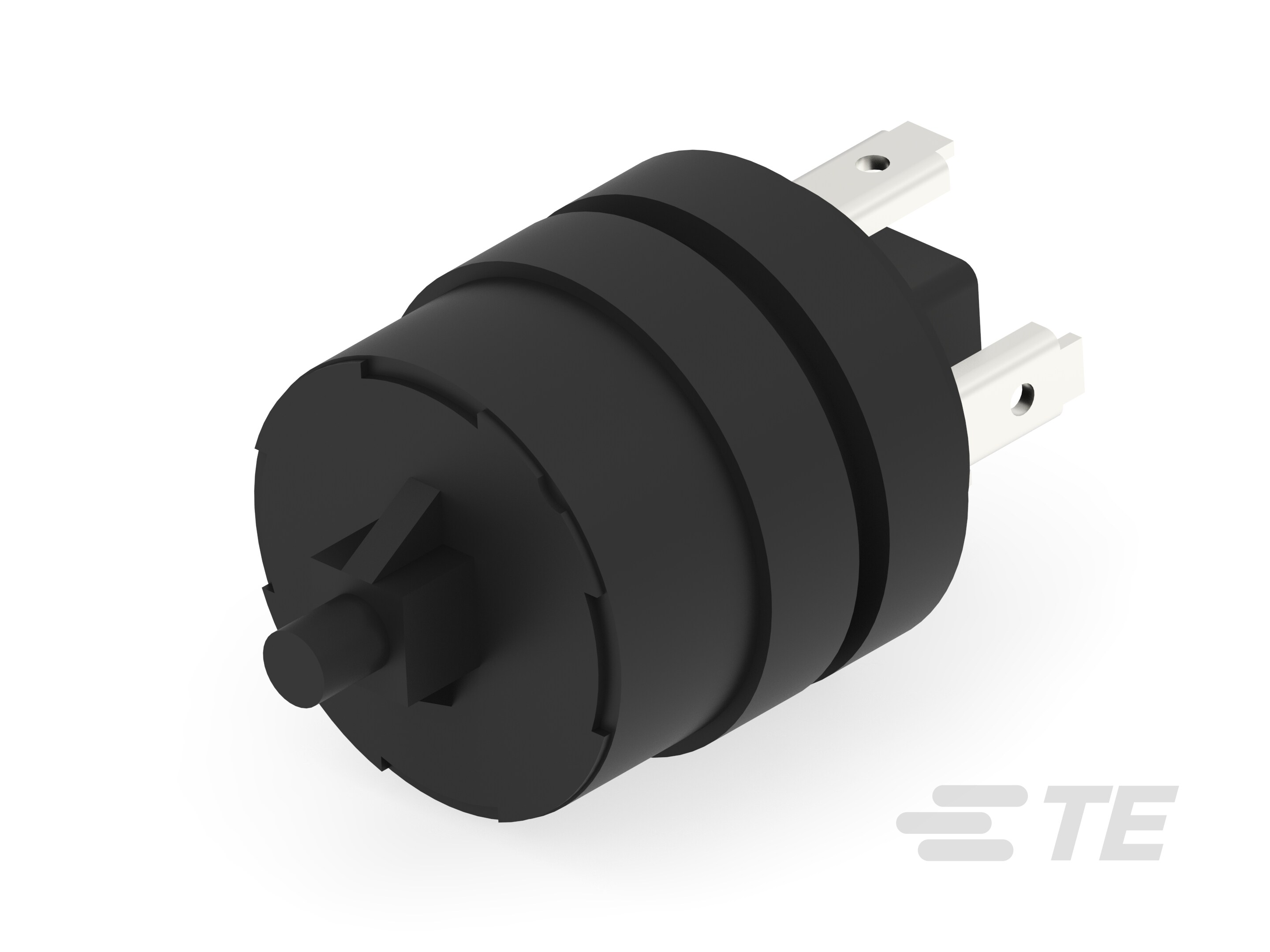 Micro Switch MFE1 021 208 (312000002)-K1024241