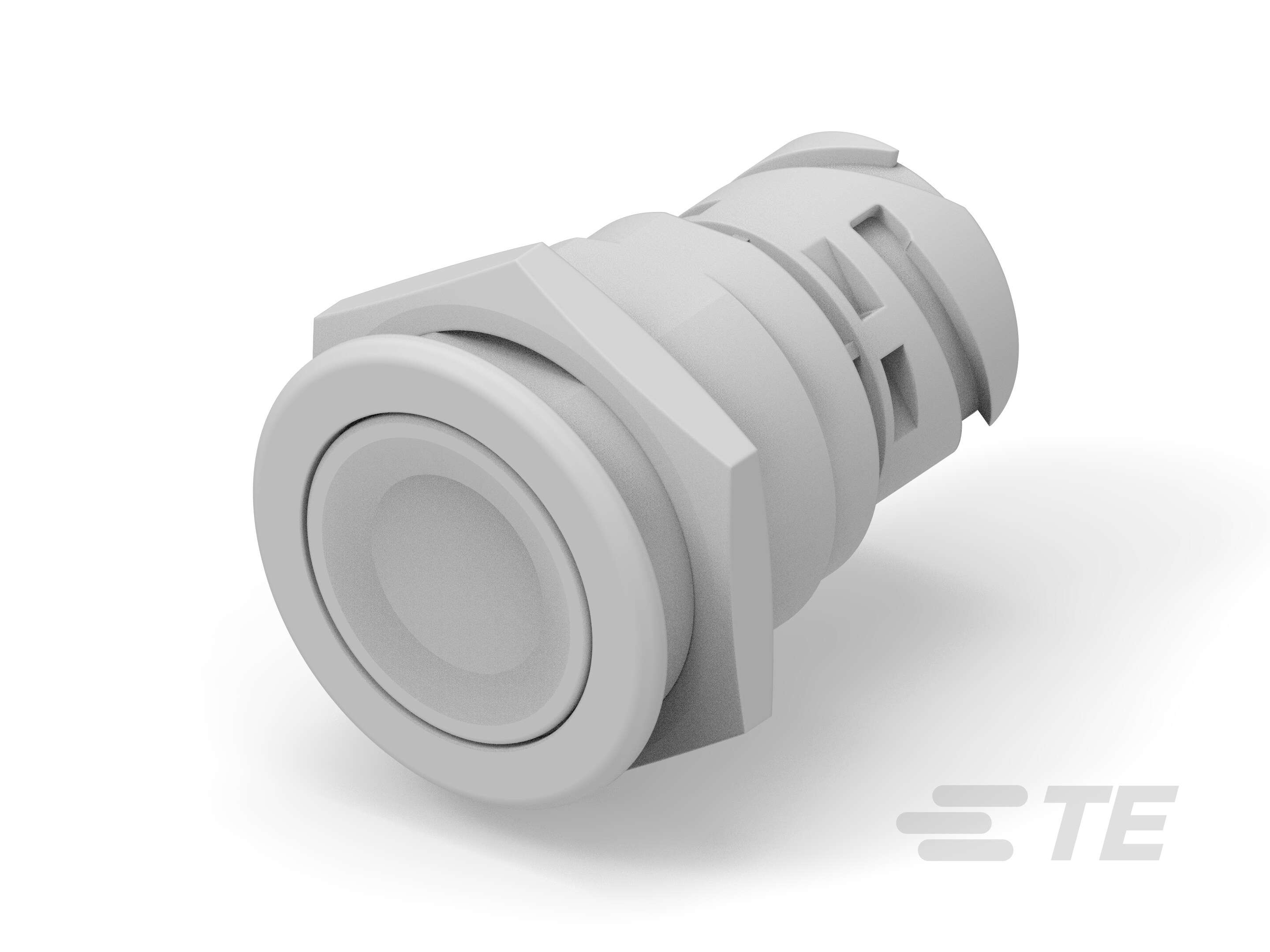 Push button switch TS-211-GE12-K1147589