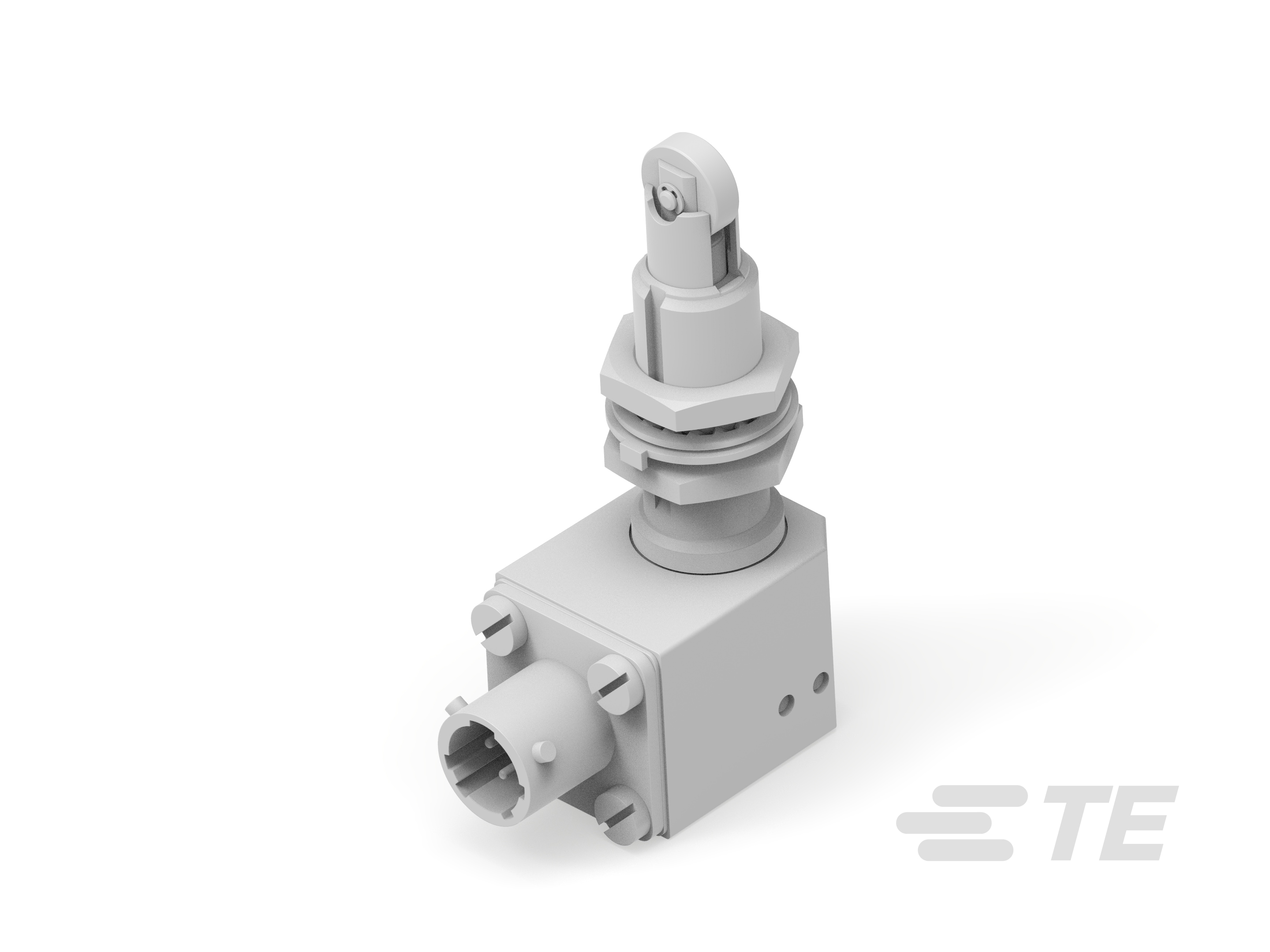 Limit switch G13-01-1817-K1149260