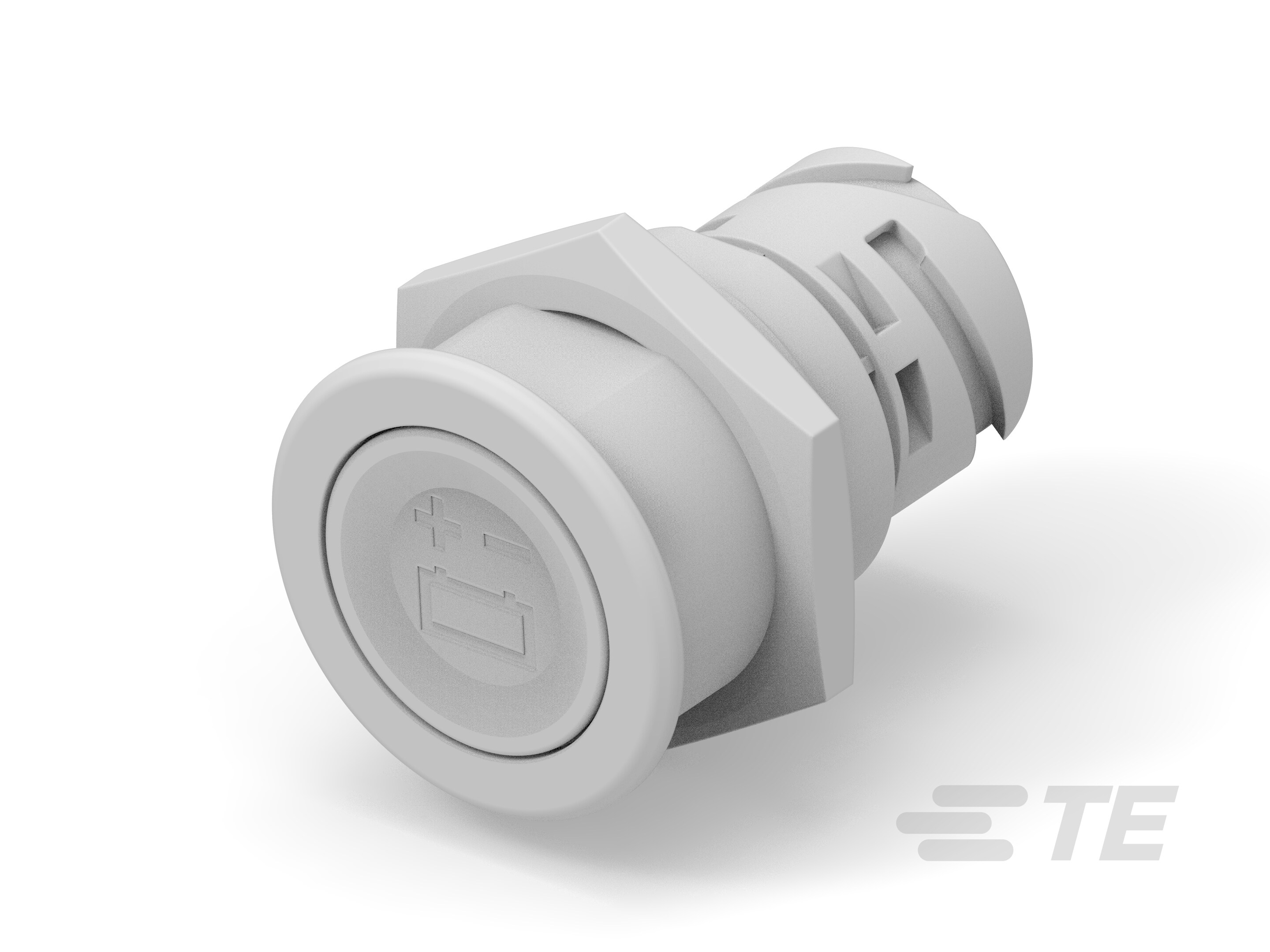 Push button switch TS-211-GN22-K1151649