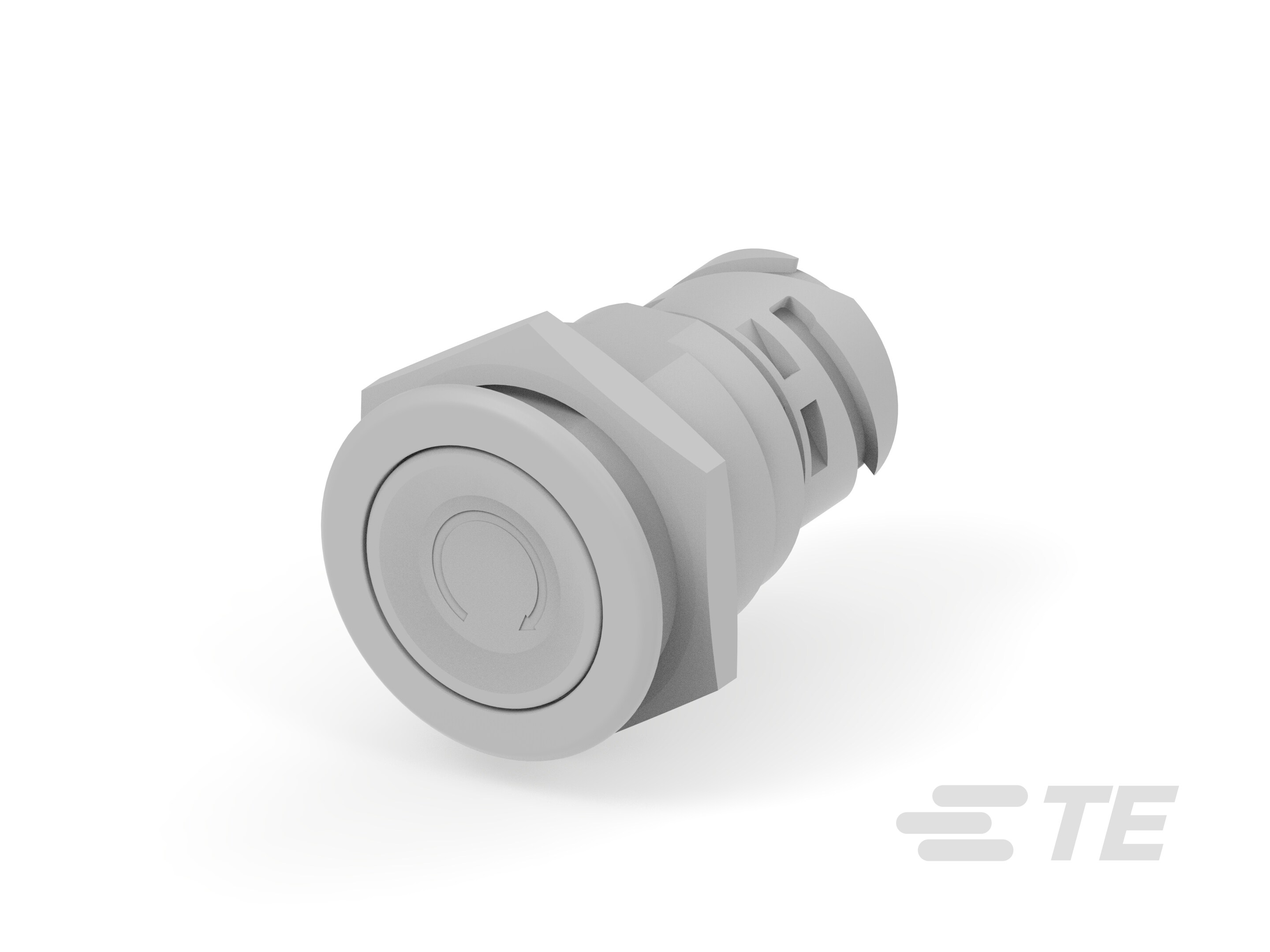 Push button switch TS-211-GE32-K1152184
