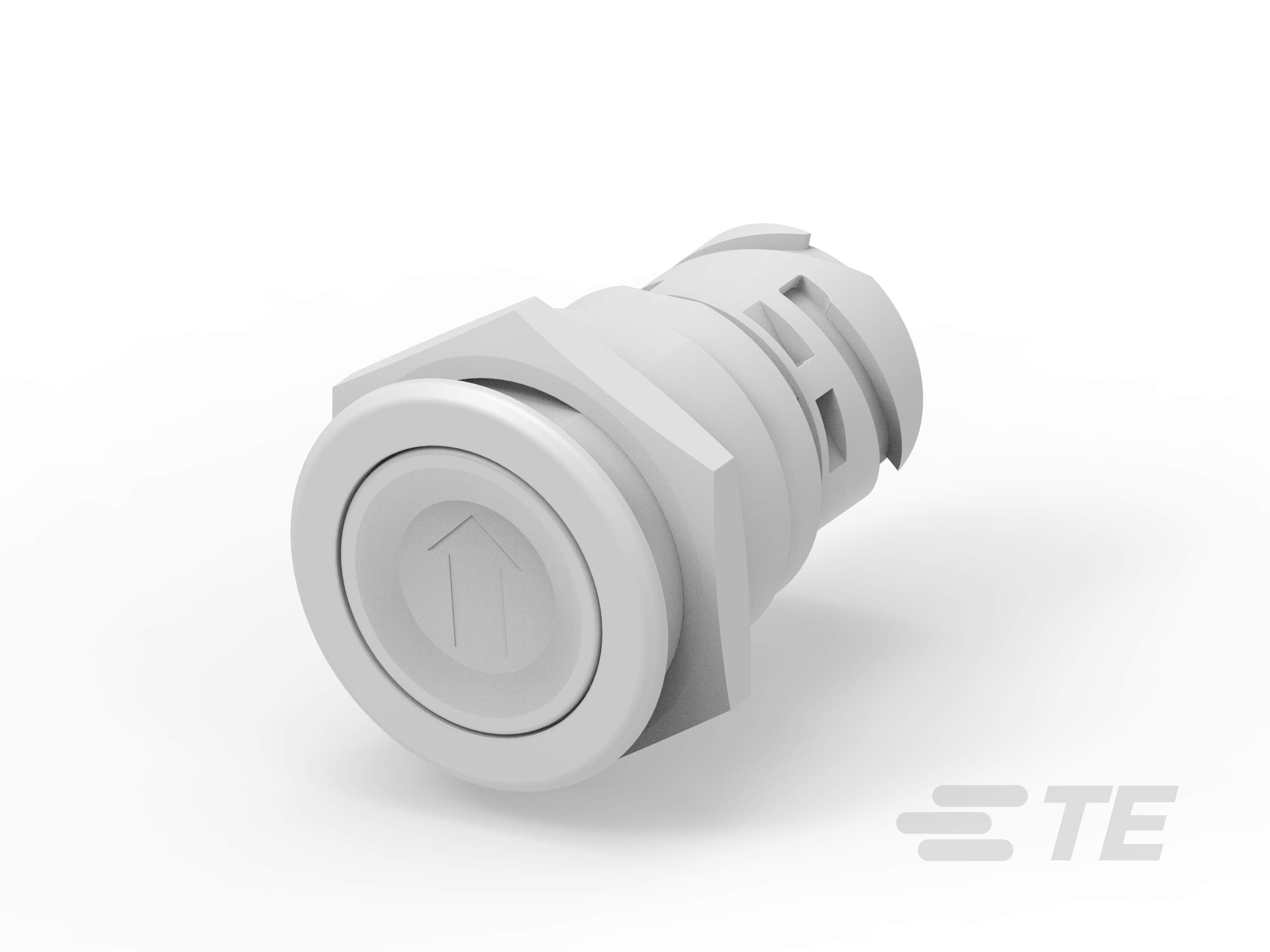 Push button switch TS-211-GE132-K1153628