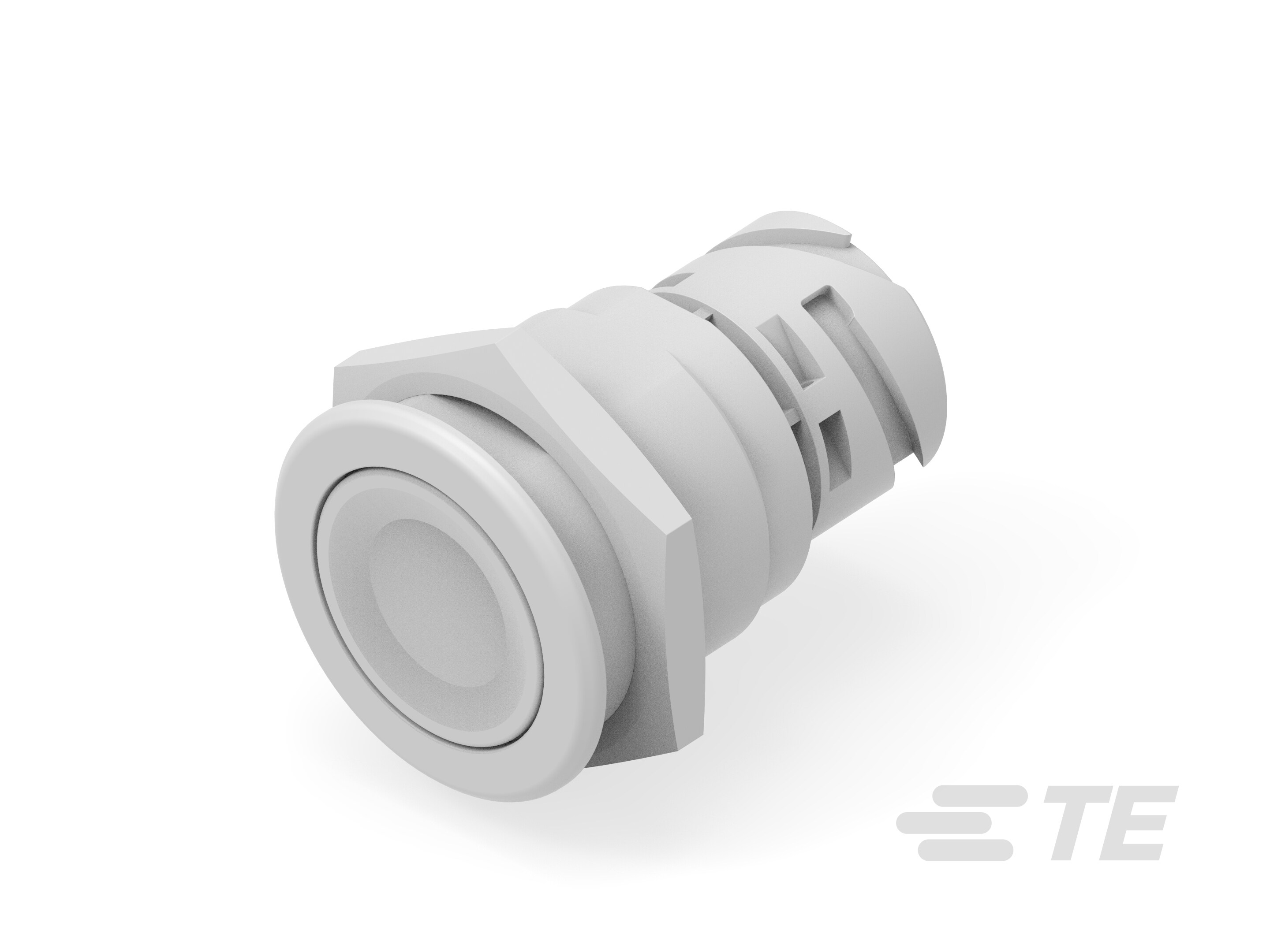Push button switch TS-211-RT61-K1153708
