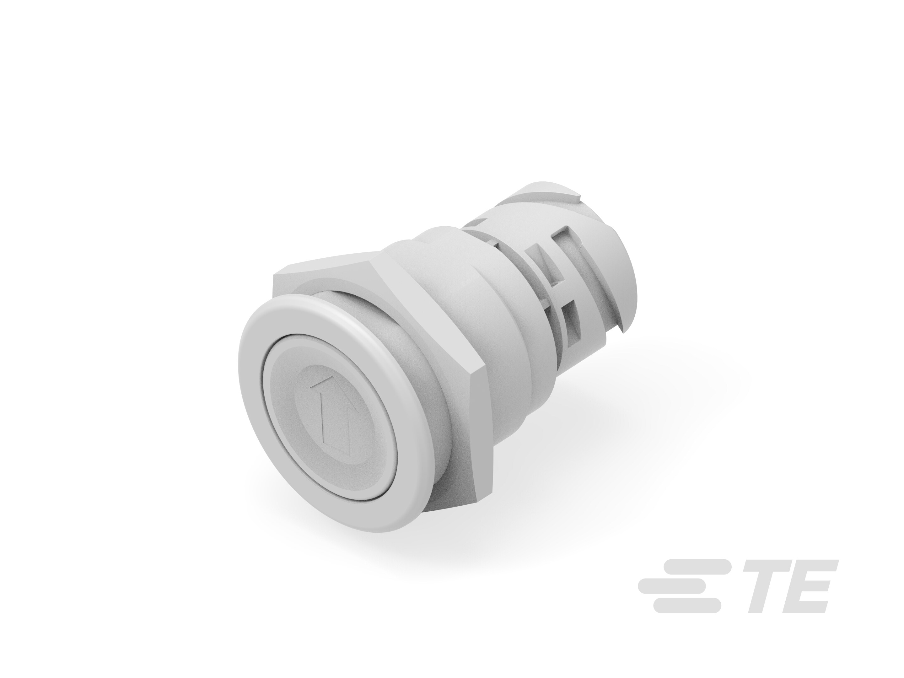 Push button switch TS-221-SW131-K1156196
