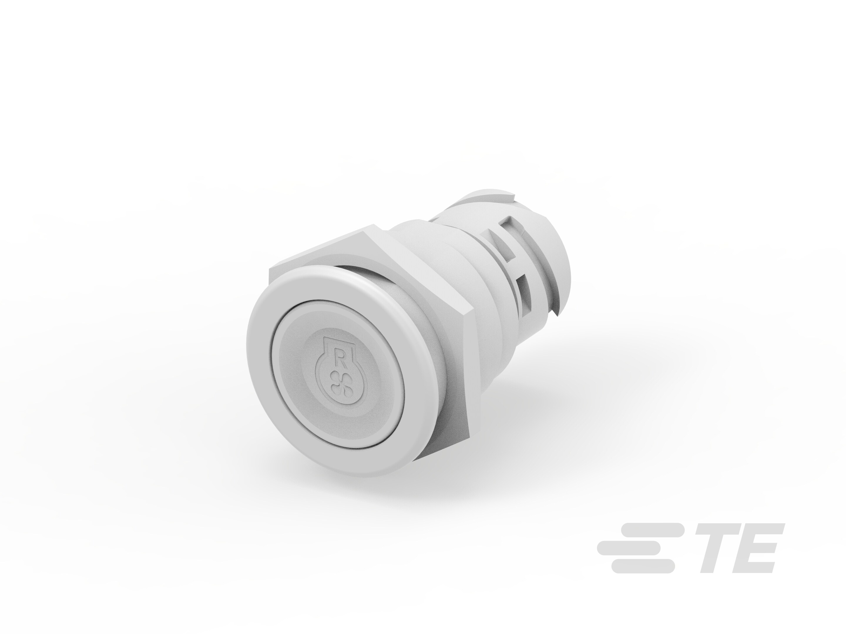 Push button switch TS-221-BL171-K1158887