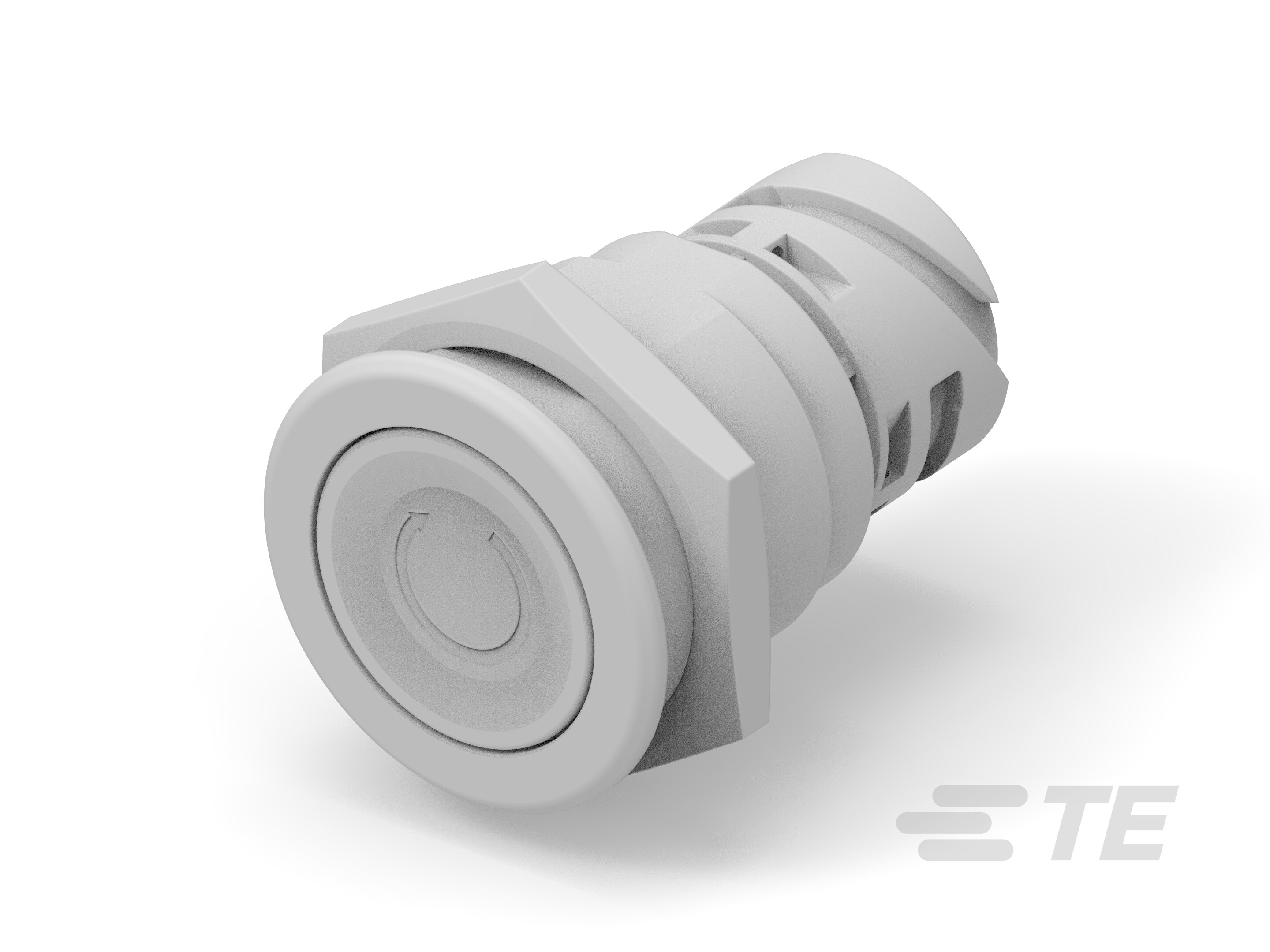 Push button switch TS-221-GN31-K1160254