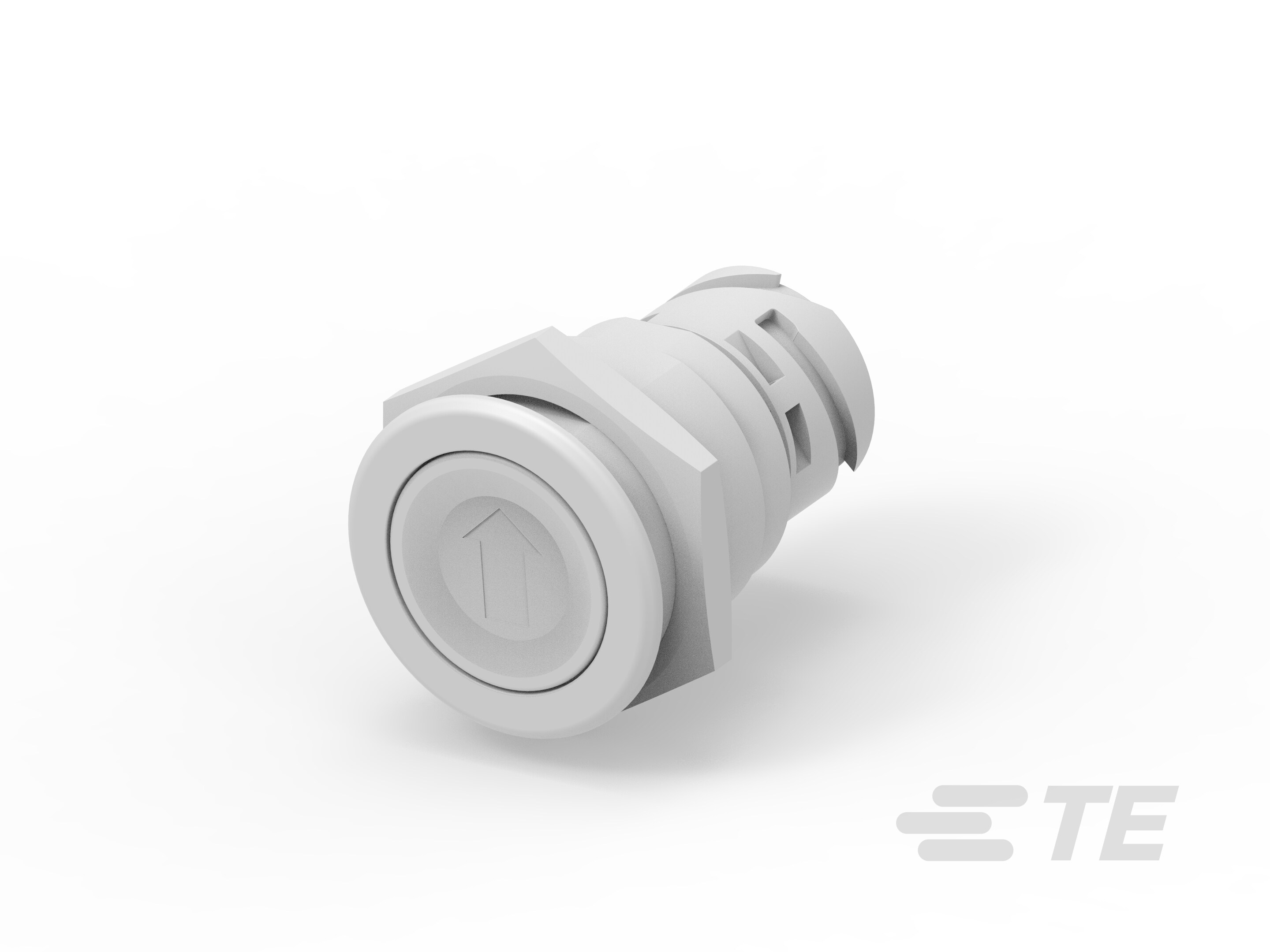 Push button switch TS-211-RT132-K1162993