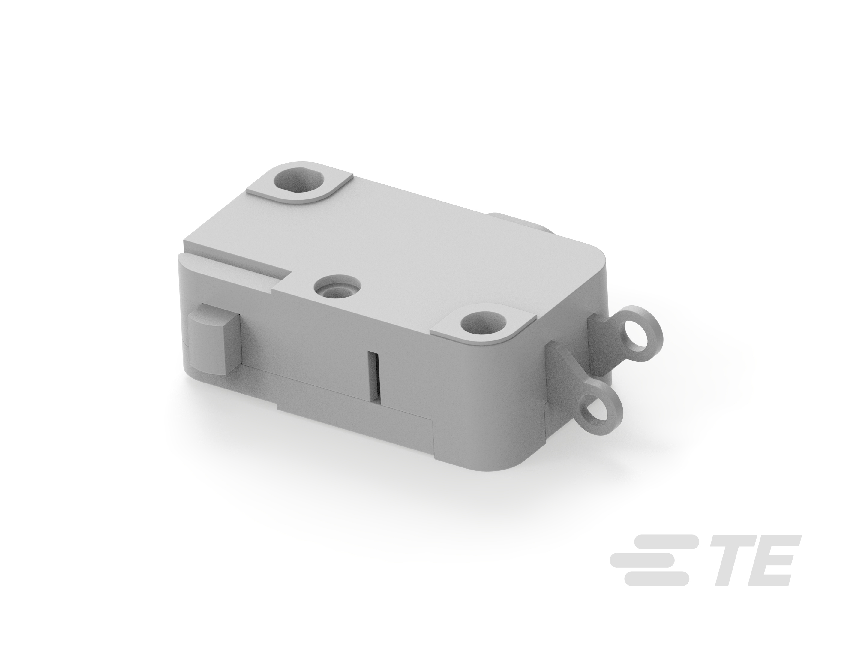 Micro Switch MZX1 021 204-K2000779