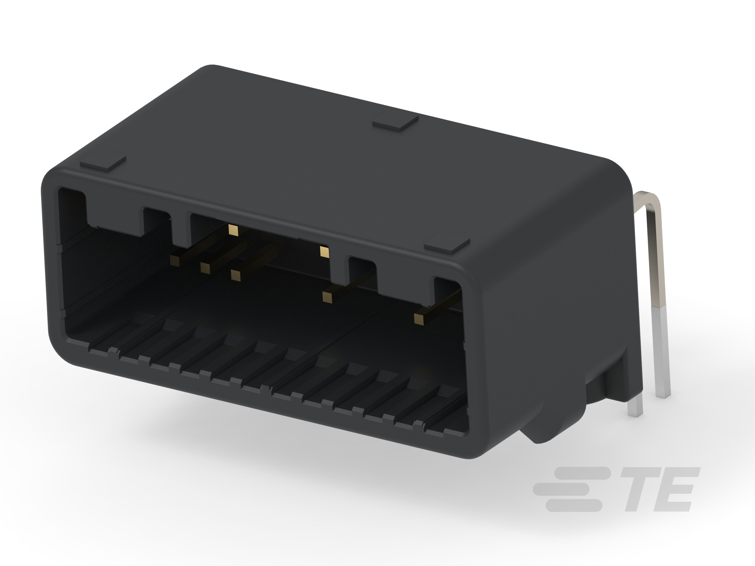 025 24P CAP ASSY H-1-1318853-6