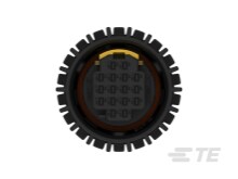 1-1703963-1 : Automotive Housings | TE Connectivity