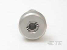 Gamakatsu (2025年春夏新製品)がまかつ/Gamakatsu ハーフ