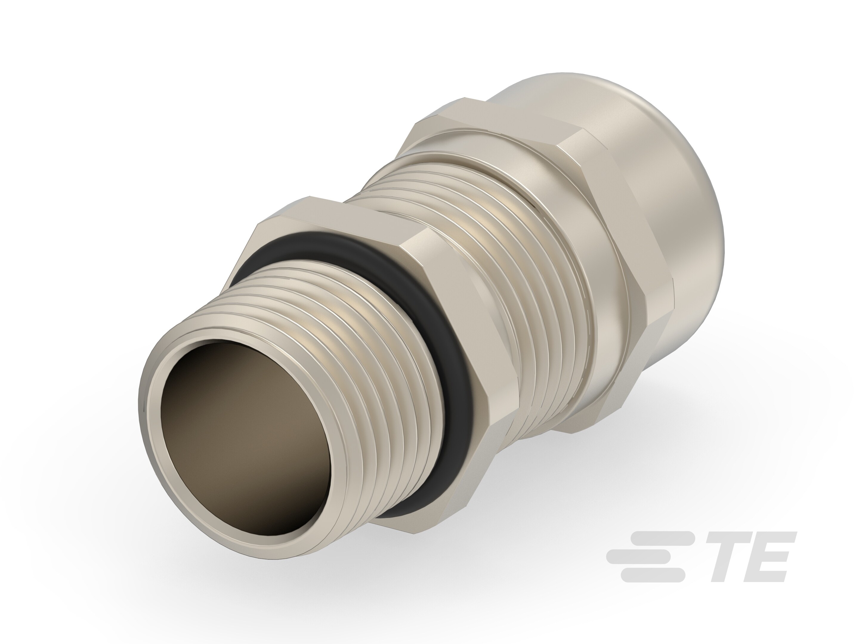 EM-SG-NPT38-MET-B-1SNG602069R0000