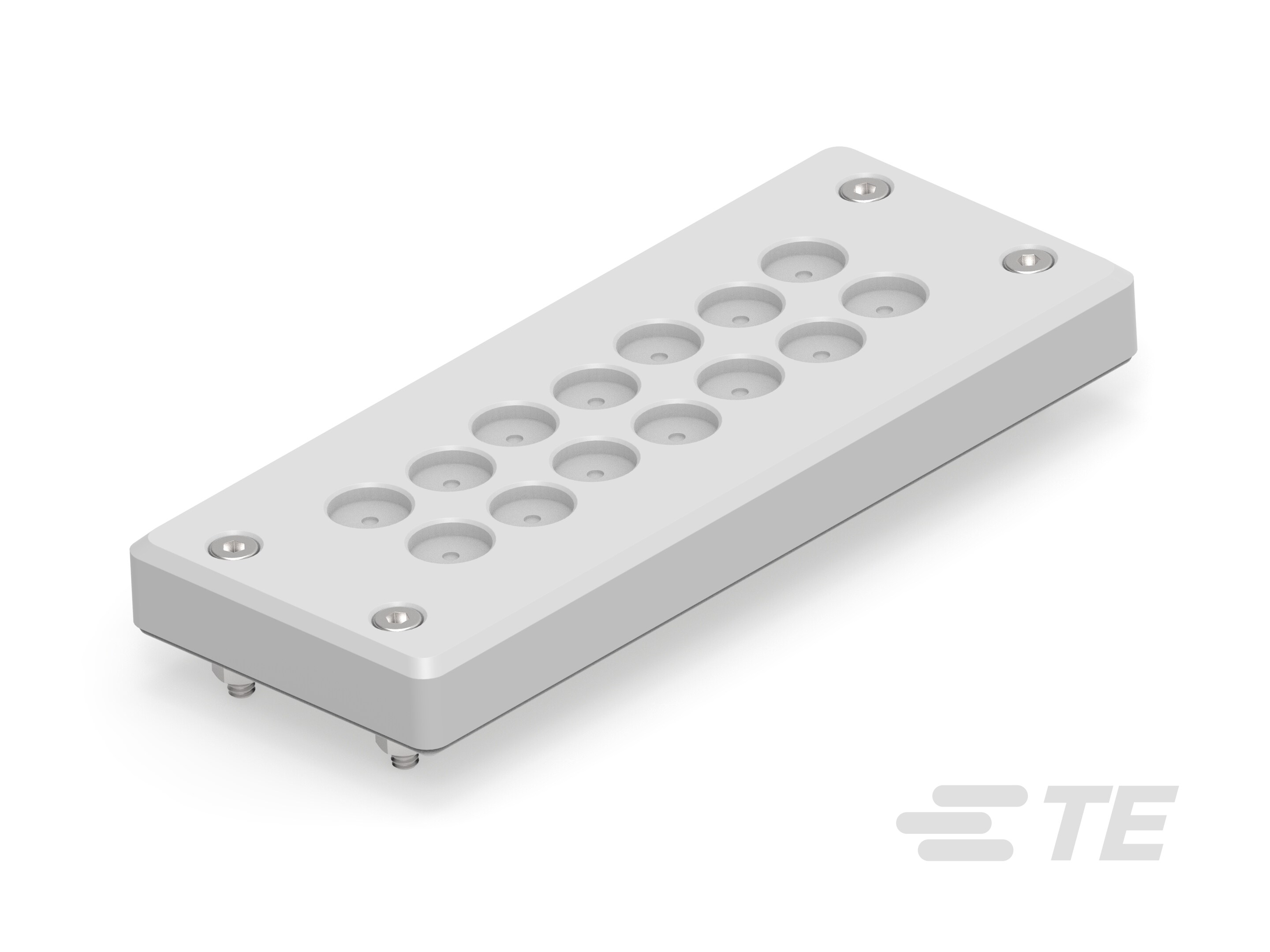 EP-BRM-SZ14-LGR-A-1SNG603005R0000