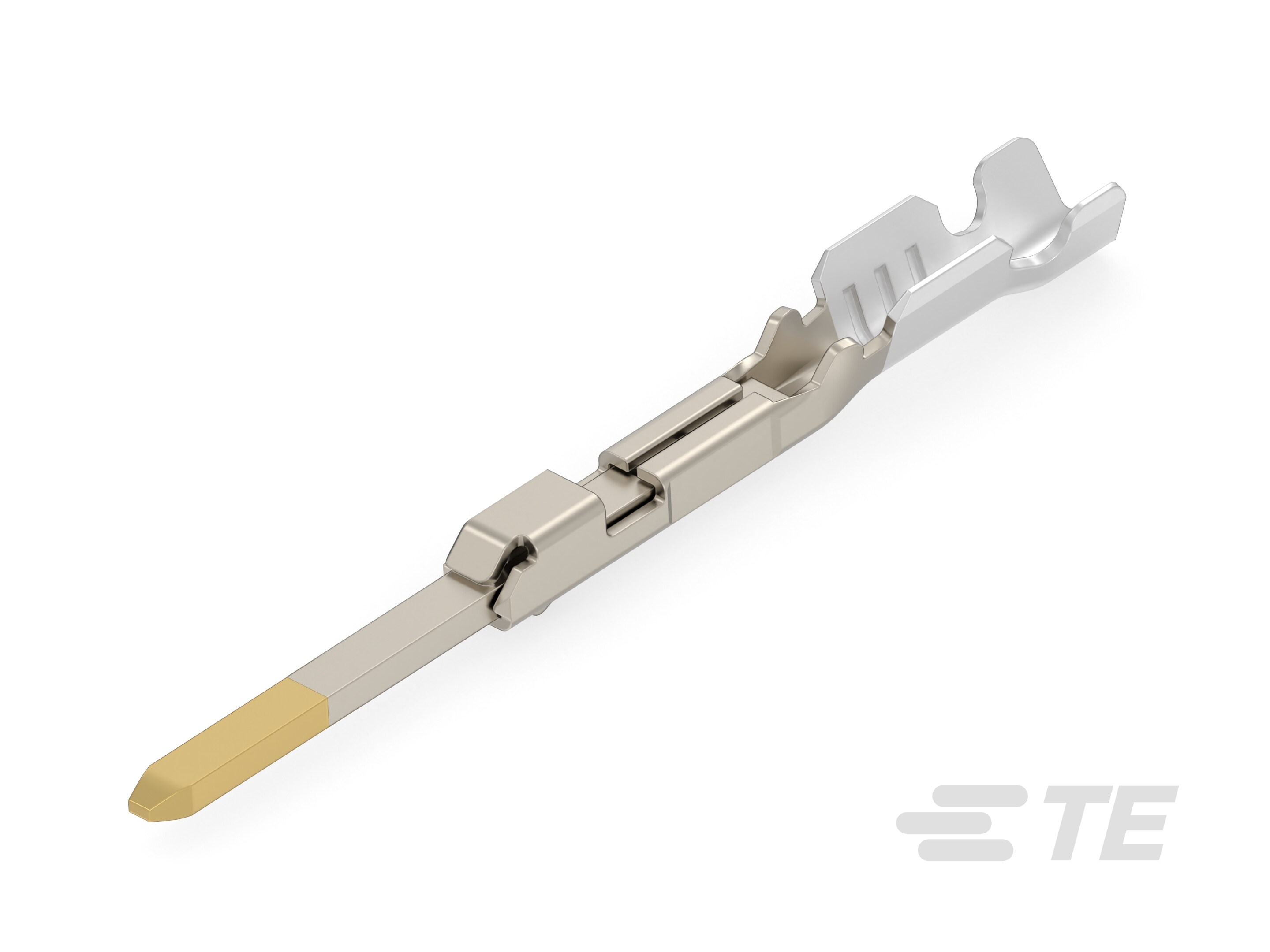 GET MALE TERM, A, AU-3-1419158-1