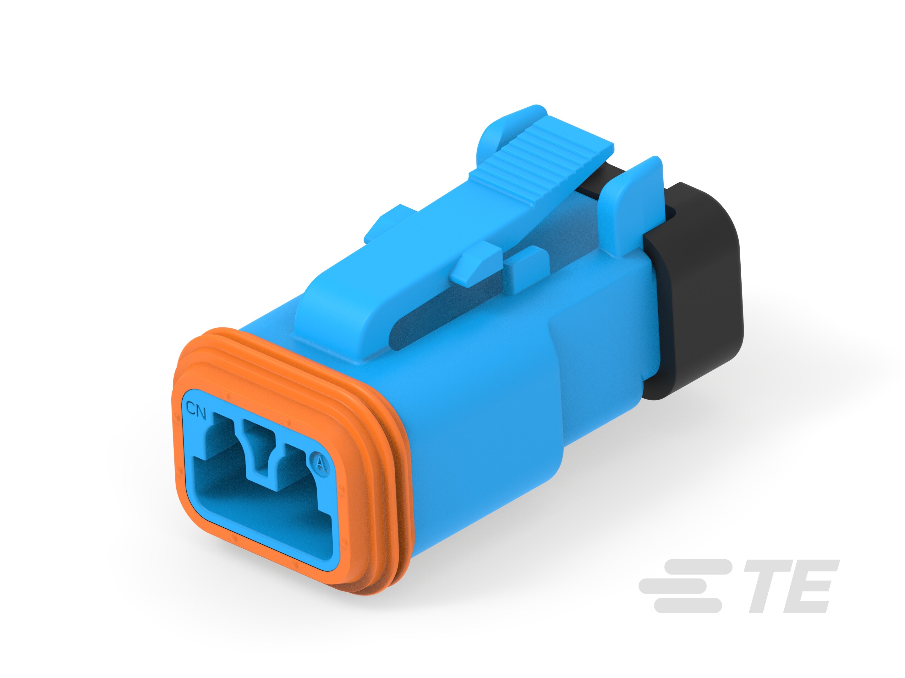 PLG, 2P, BLUE, E, CAP-3-2448100-3