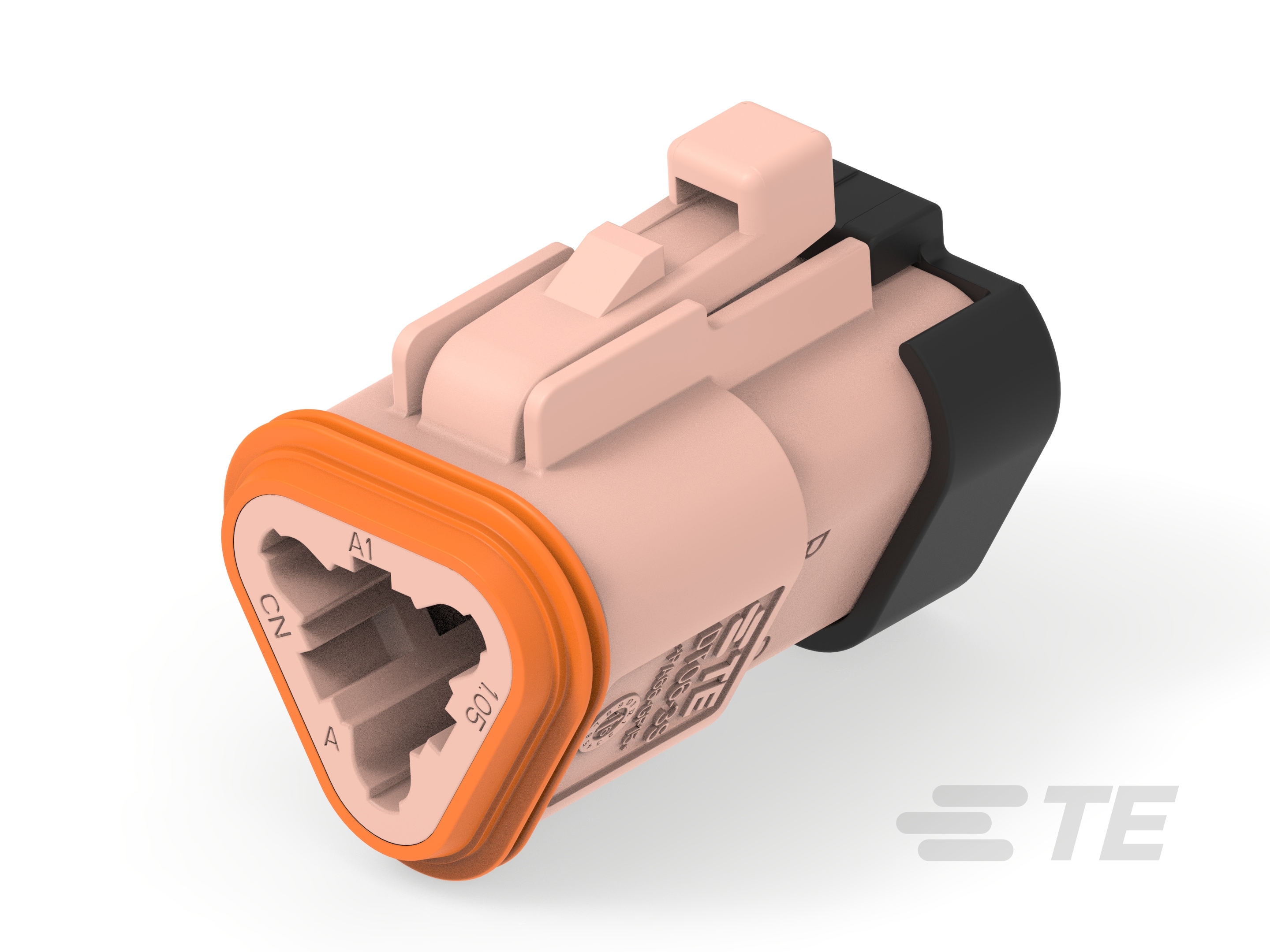 PLG, 3P, BRN, N, CAP-4-2448102-1