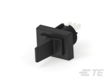 TRD11G20QC=subminiature paddle switch-5-1437595-8