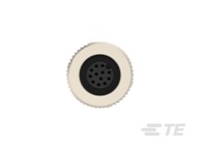 6-2271116-2 : M12 Connector Standard Circular Connectors | TE