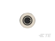 6-2271129-2 : M12 Connector Standard Circular Connectors