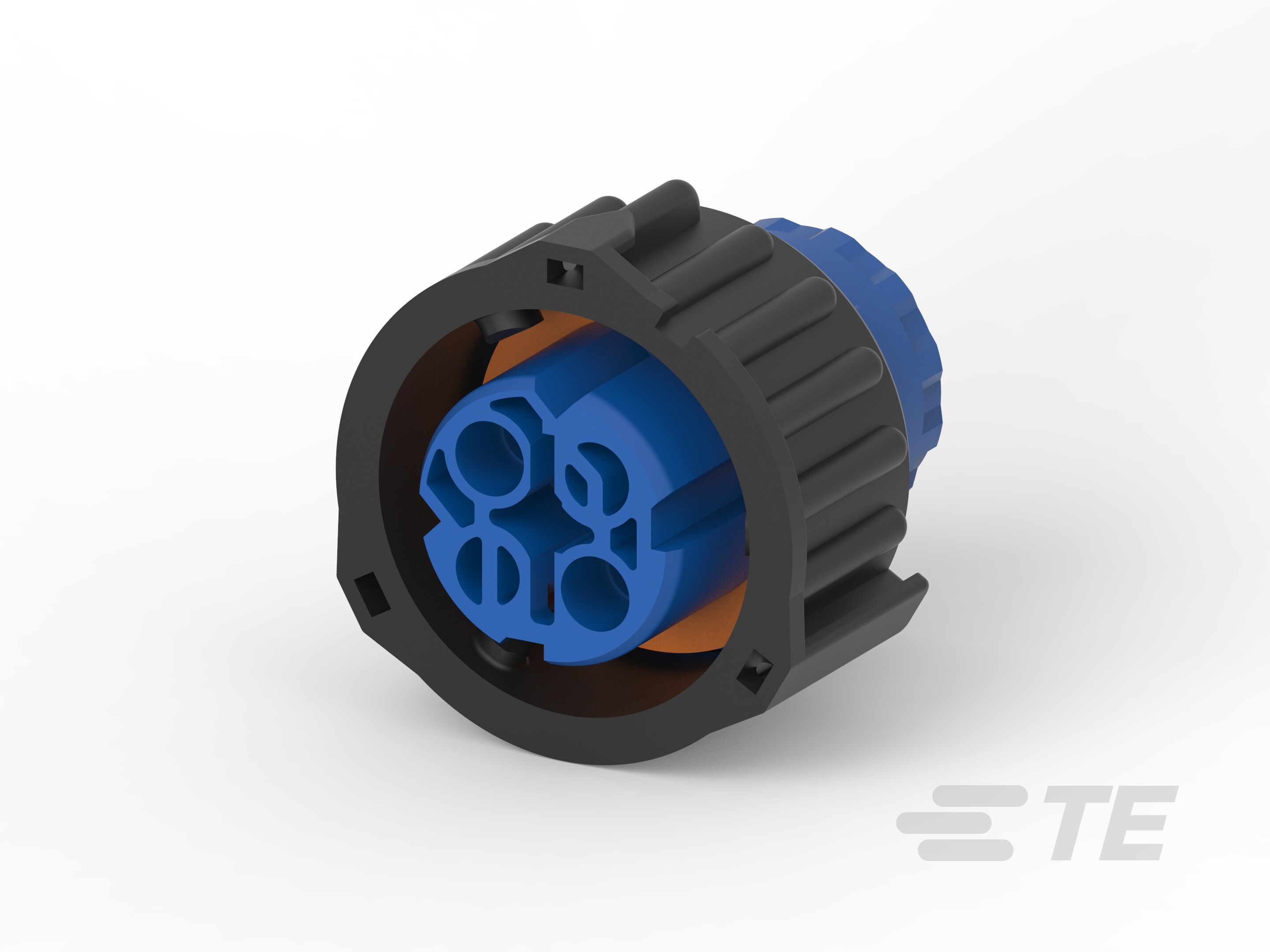 2.5mm SOCKET HSG ASSEMBLY(BLUE 2 POS)-8-1813099-3