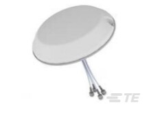 Wi-Fi DAS Antennas: For Smart and Connected Buildings-CAT-0-WDCMA