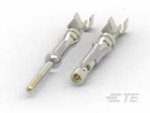 CAT-AM71-T98B パワー端子 1