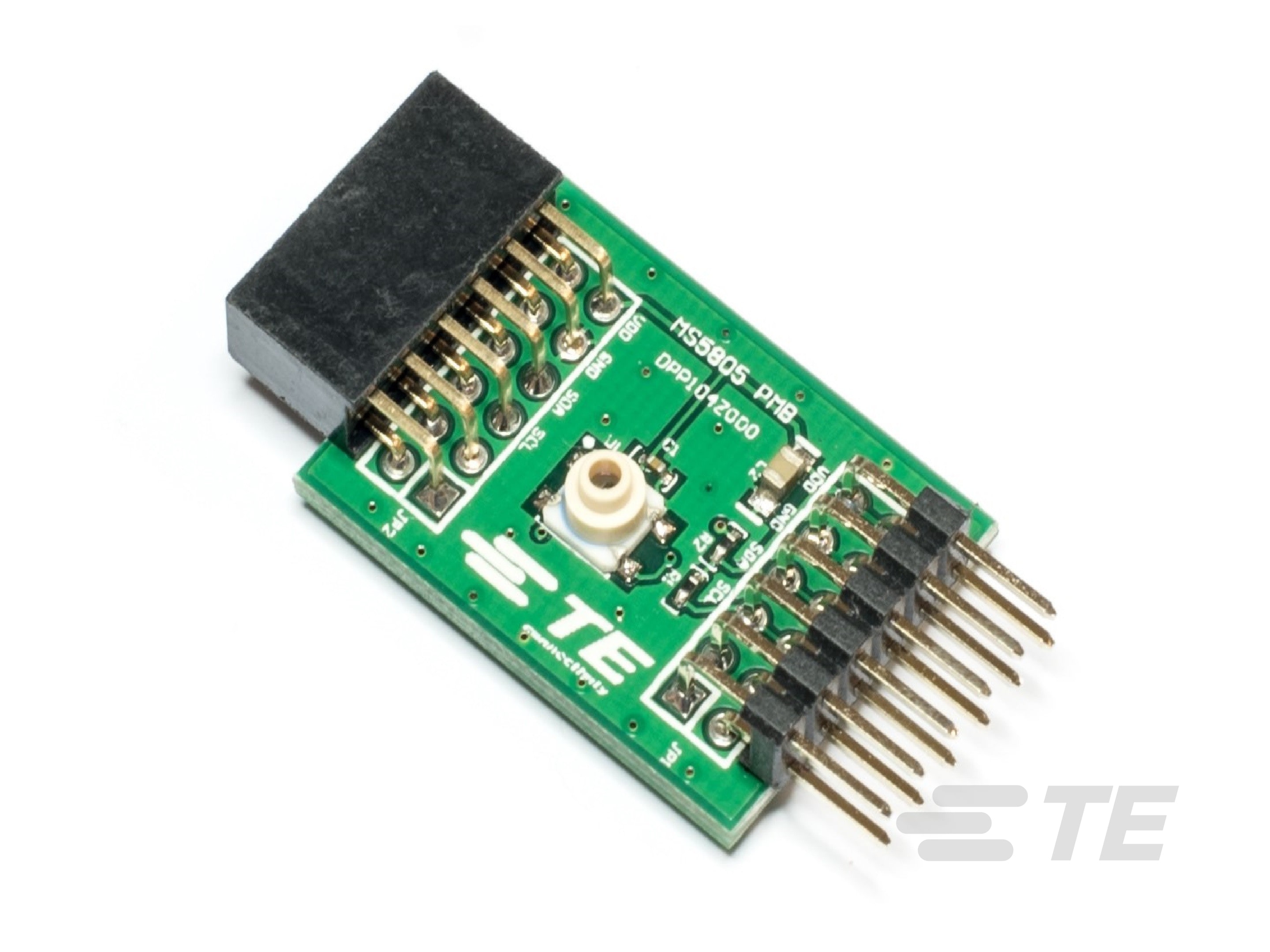 PMOD MS5805-CAT-DCS0052