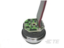85VC 耐腐食圧力センサ 1