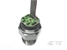 13-MM-Drucksensor mit Mittelspannungsausgang-CAT-MIPS0017