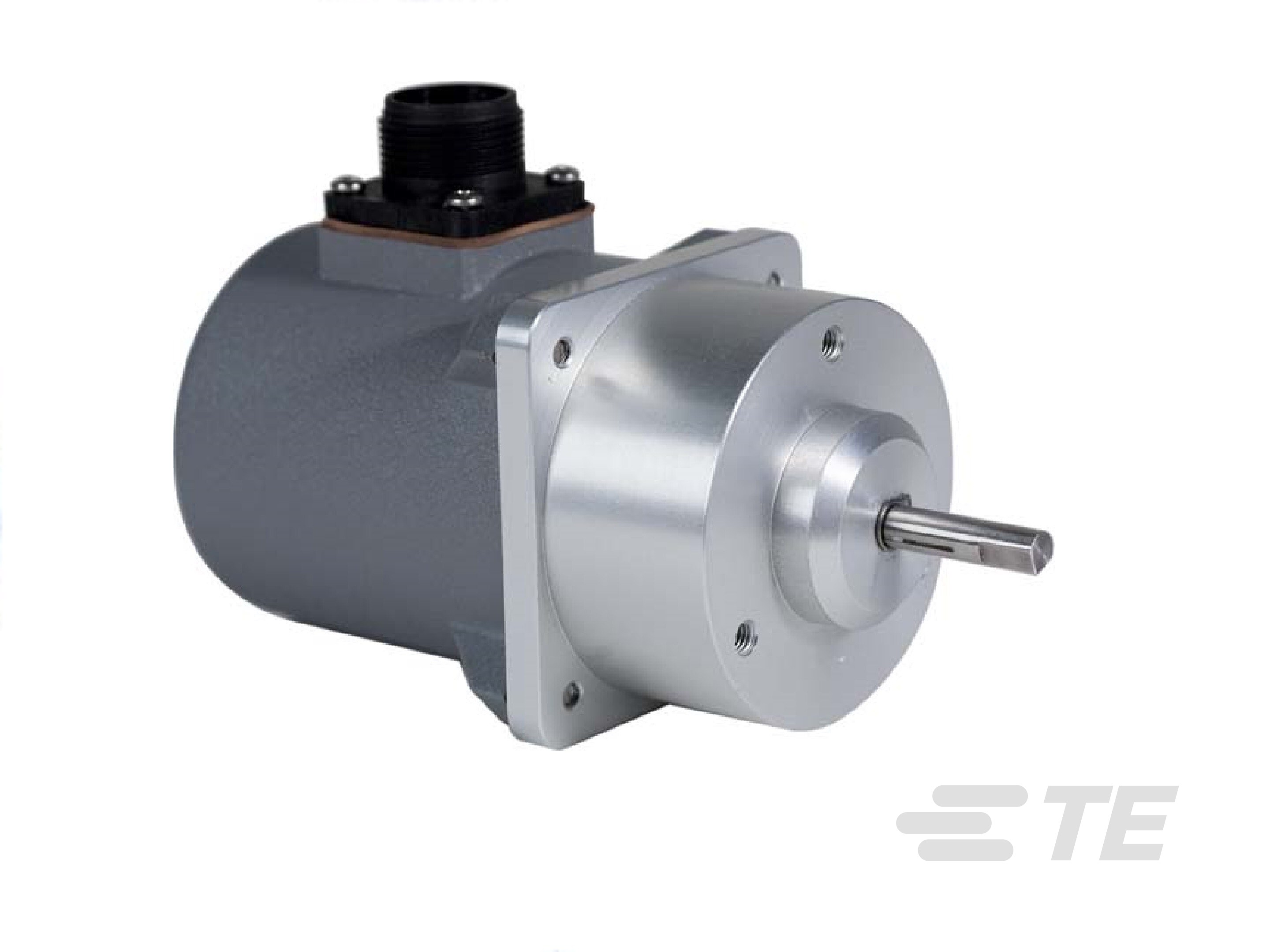 0–10 VDC Industrieller Dreh-Wegaufnehmer | RT8510-Serie-CAT-RDP0006