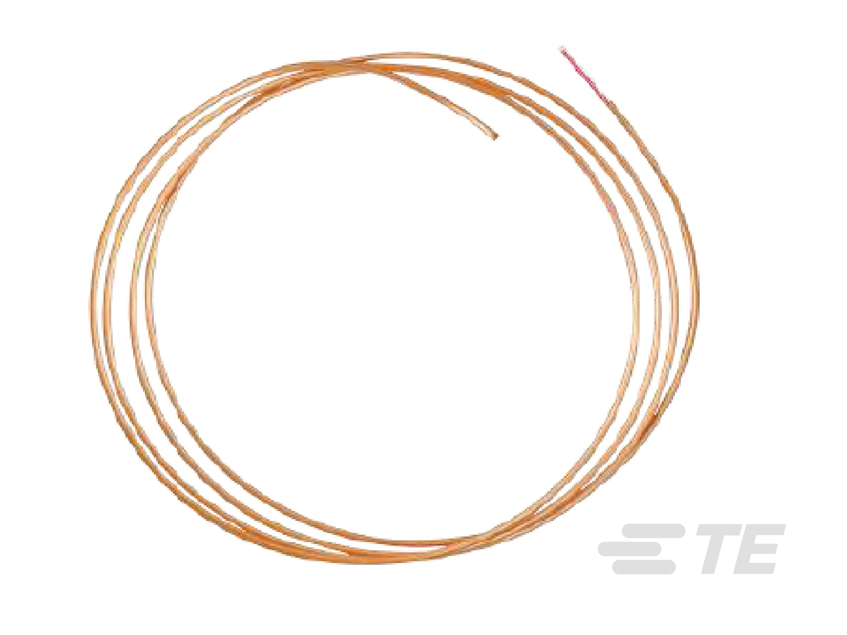Ave RTD Probe w Compression Fitting-CAT-RTD0018