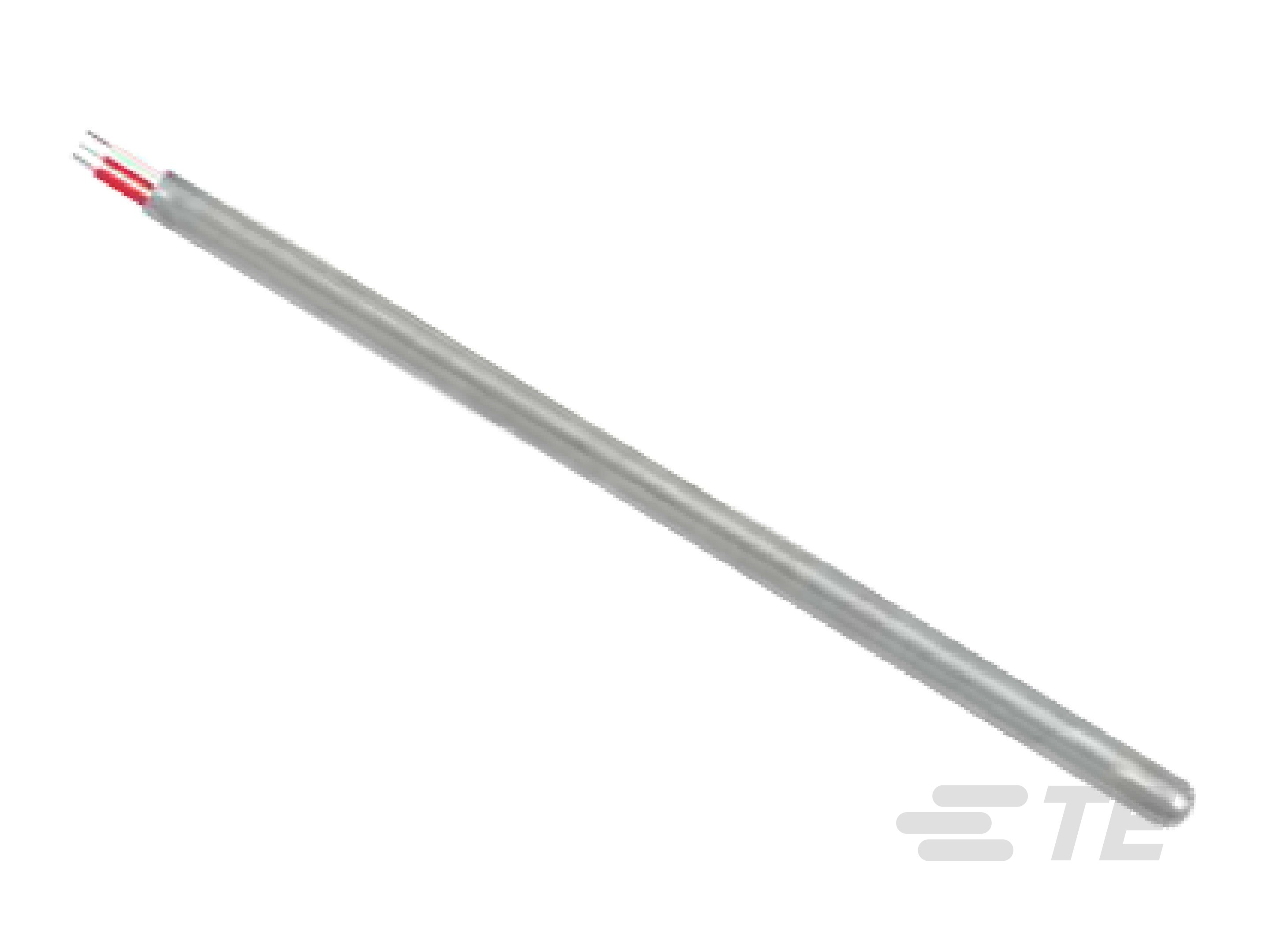 直接浸漬型 RTD プローブ、ステンレス鋼ケース付き (構成可能な製品)-CAT-RTD0022