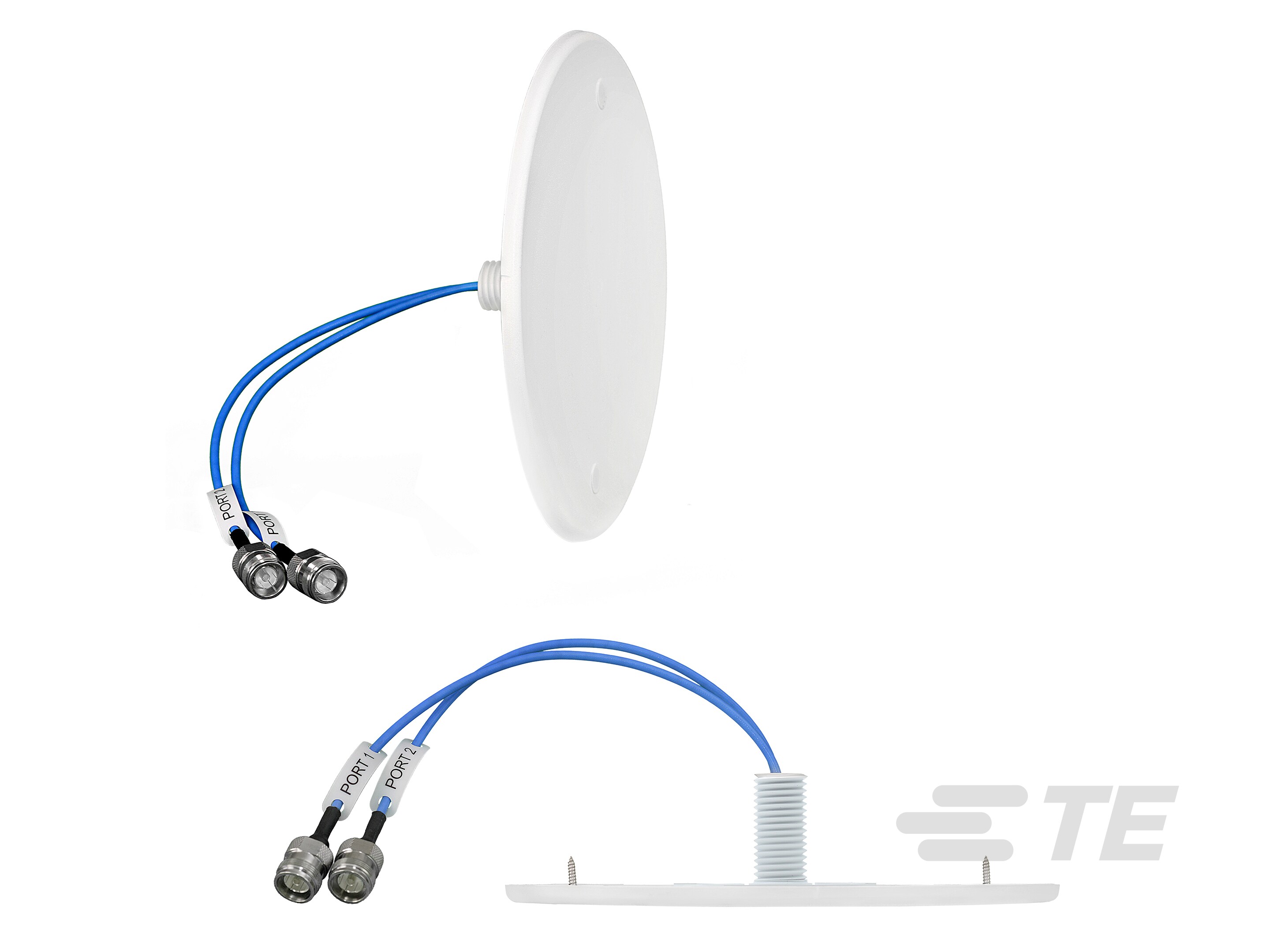 OMNI,DBAND,30CM,NF,HOLES-CFD69716P1-30NF