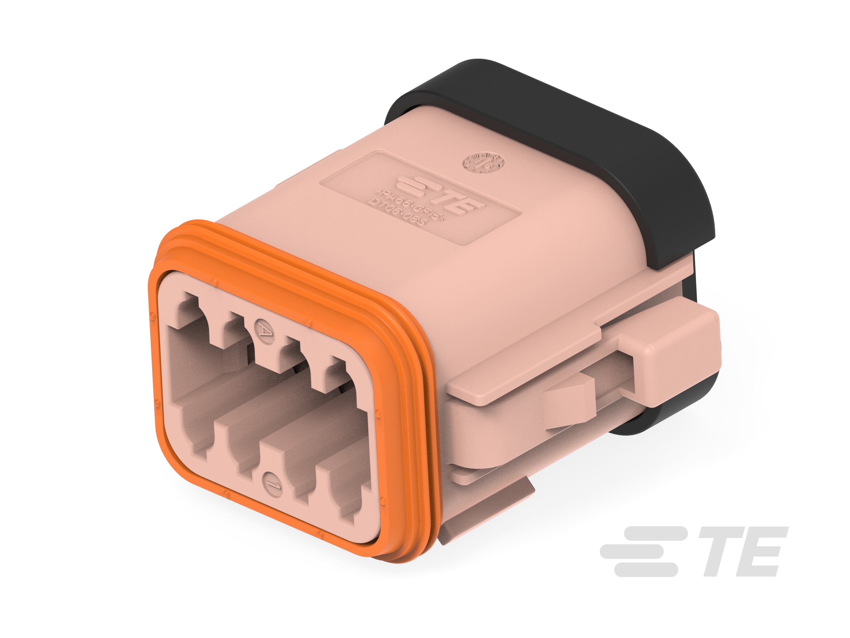 PLG, 8P, BRN, E, CAP, D-DT06-08SD-CE01