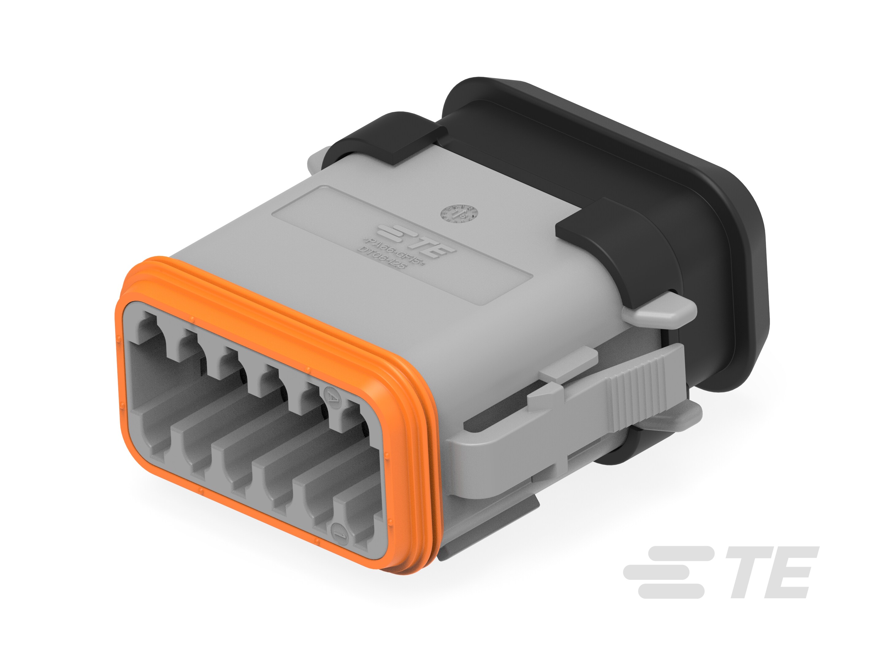 PLG, 12P, GRY, N, XCAP, A-DT06-12SA-E008