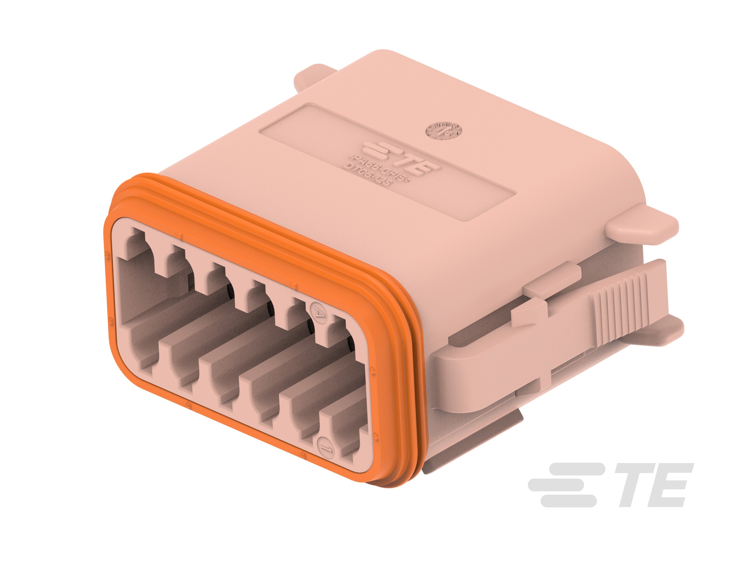 PLG, 12P, BRN, N, ENH KEY, D-DT06-12SD-B016