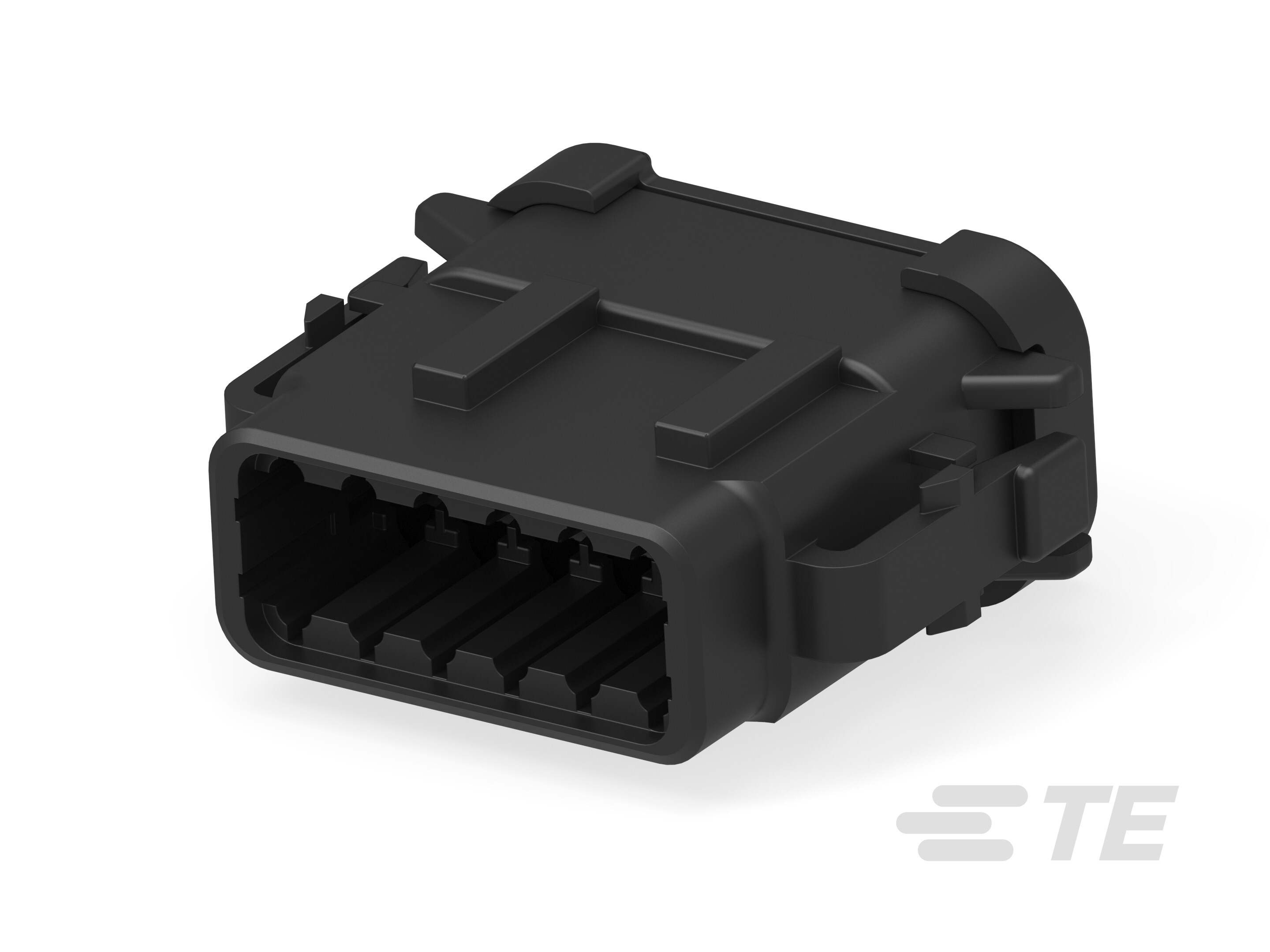 PLG, 12P, BLK, N, CAP, B-DTM06-12SB-E003