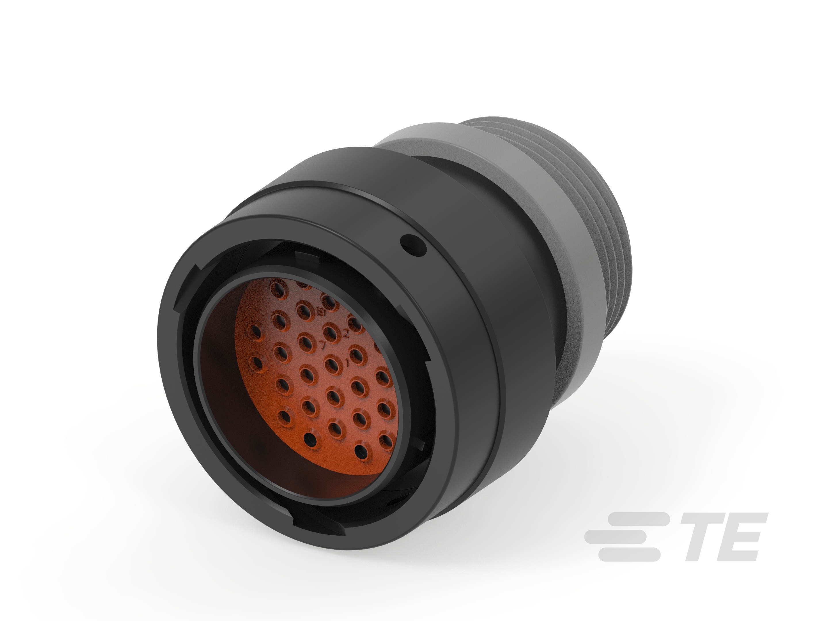 PLG, 31P, BLK, T, THD, 16, P-HDP26-24-31PT-L015