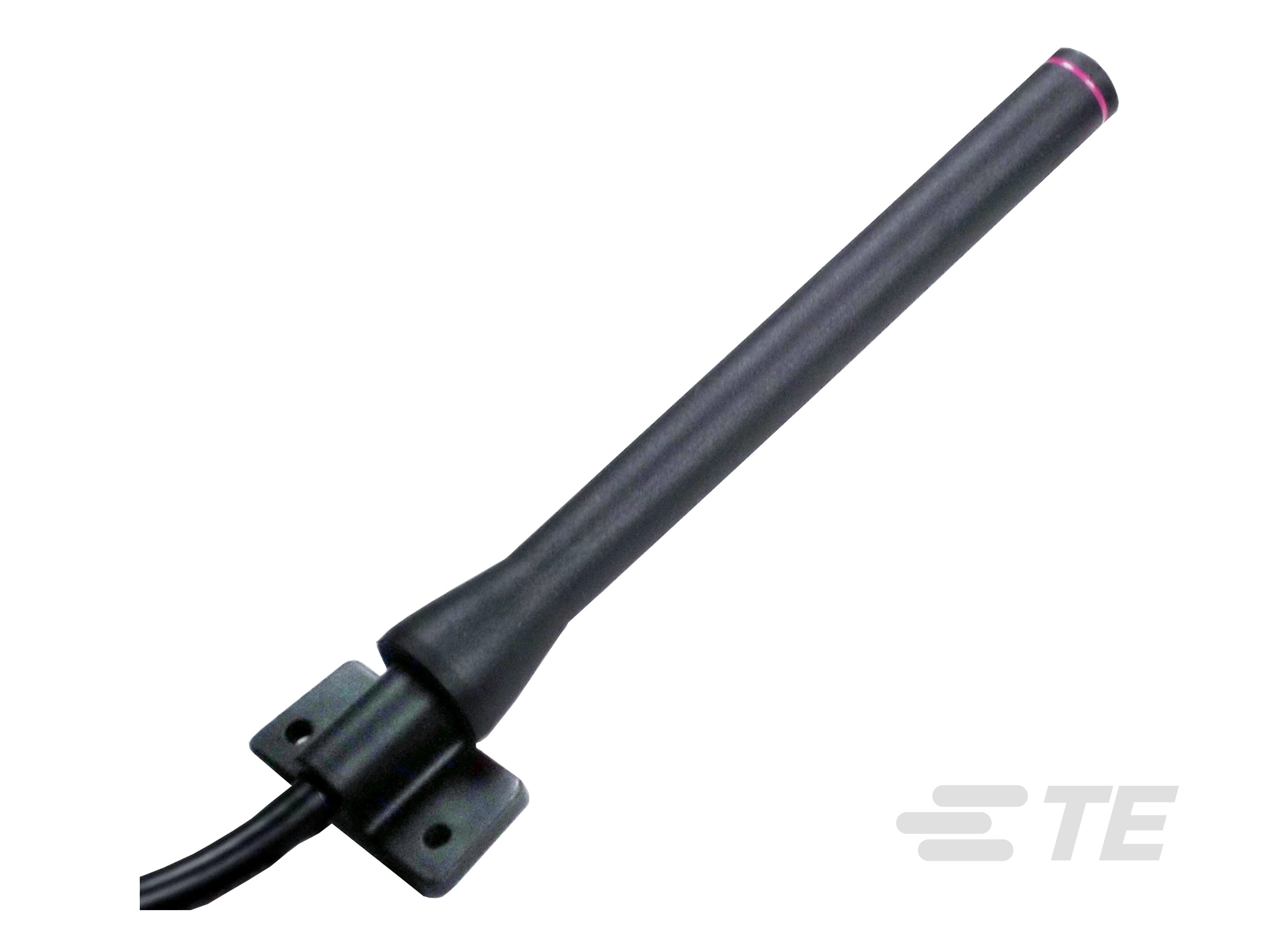 ANTENNA IND DIPOLE 2.4GHZ RG58 2M RPS-L9000077-01