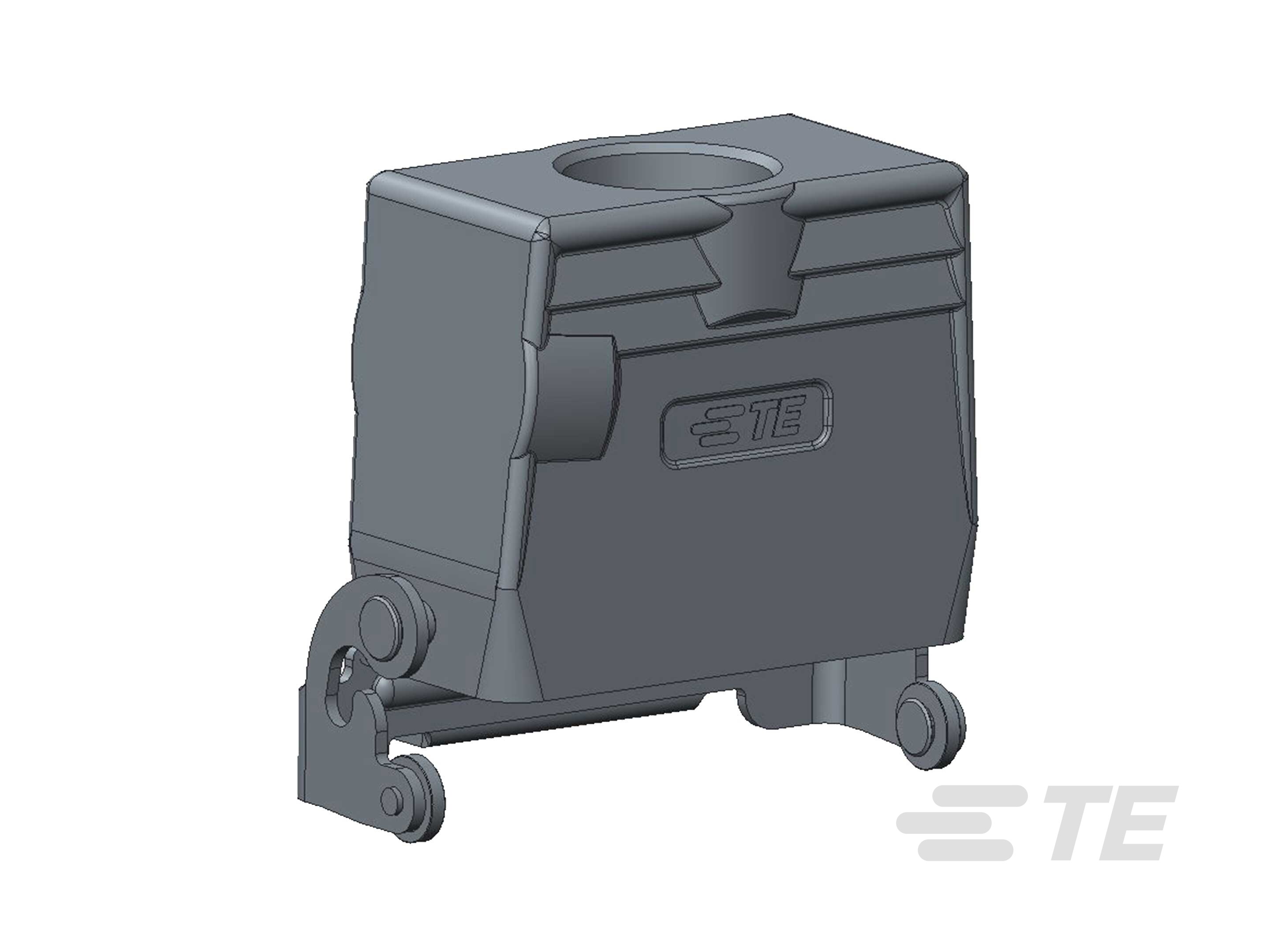 H10A-TBFS-PG16-T1739101116-000