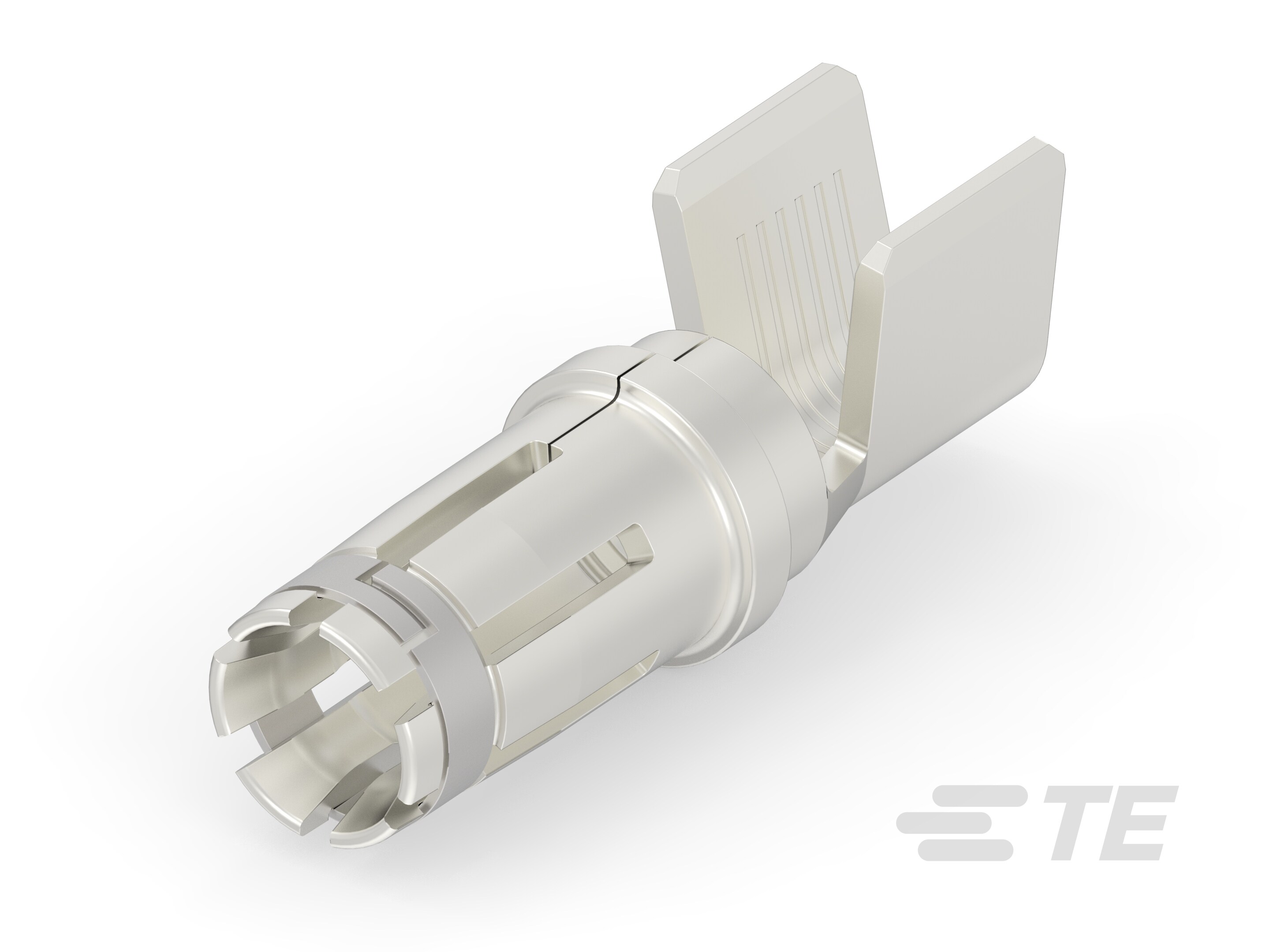 SCSF10-12-T2240002120-001