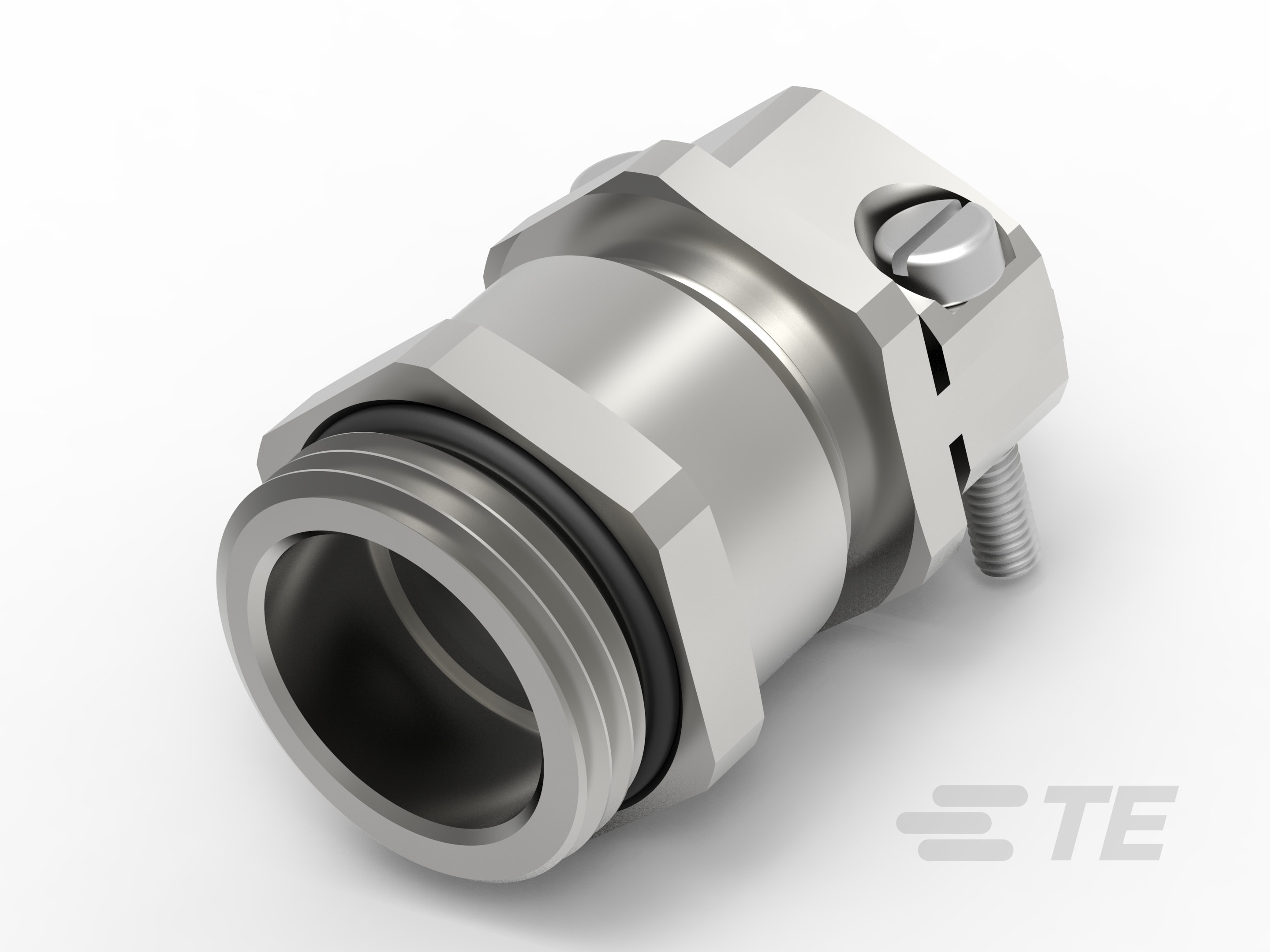 ZSM-20-M-T3135200121-000