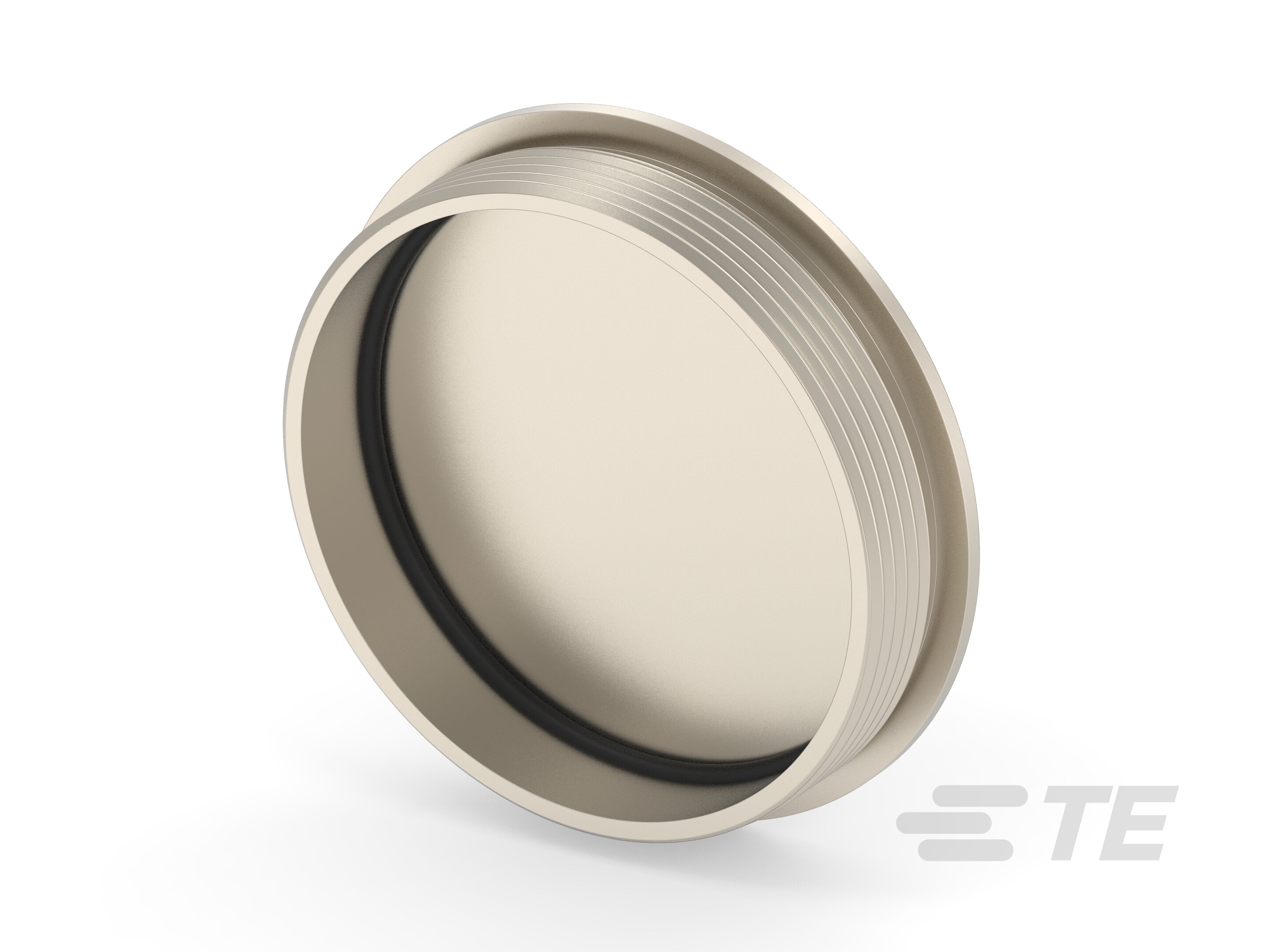 BLIND-42-MS-T3165420101-000