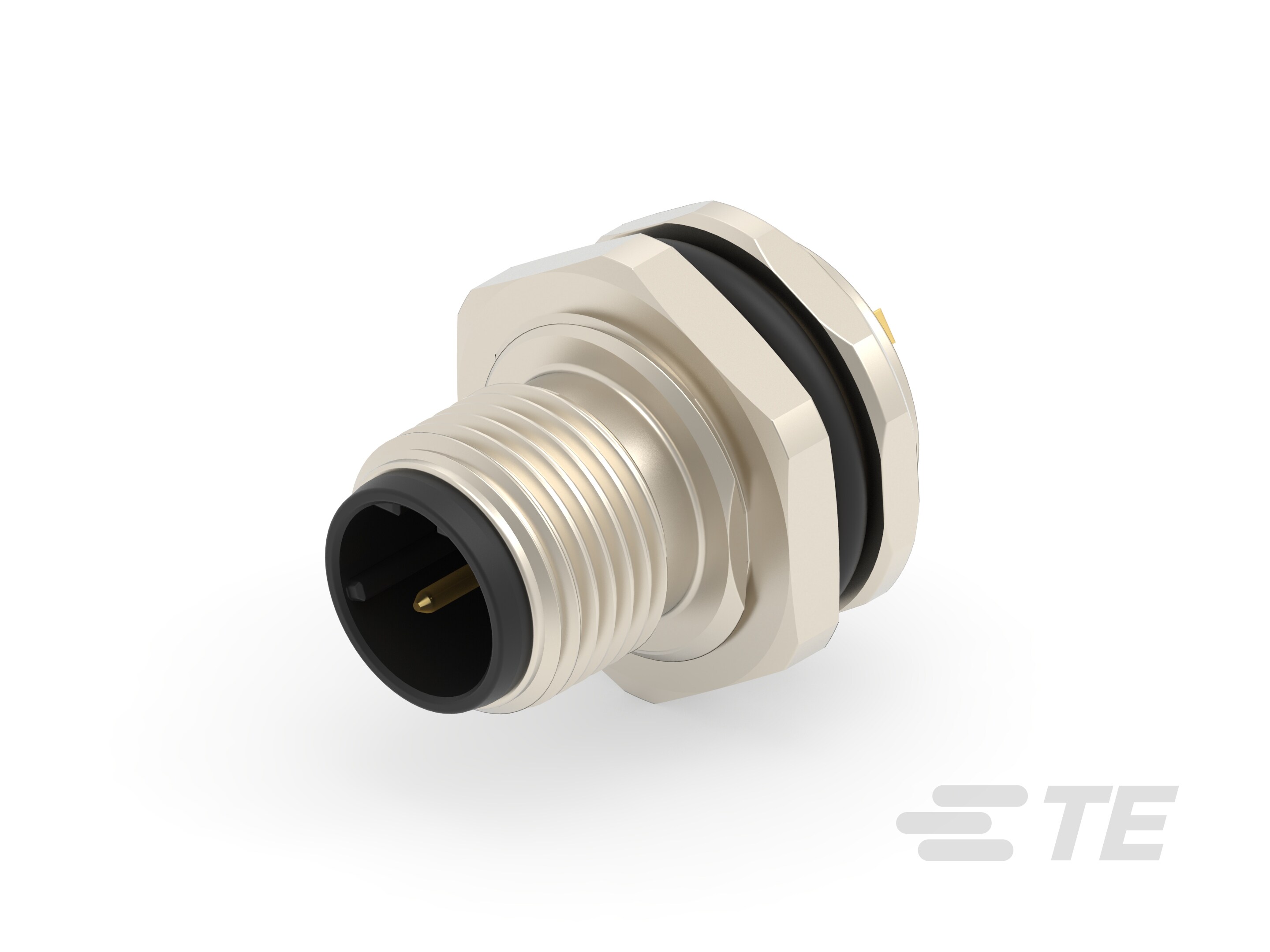 M12,REAR MOUNT,MALE,D,2P,SOLDER WIRE-T4130512021-000